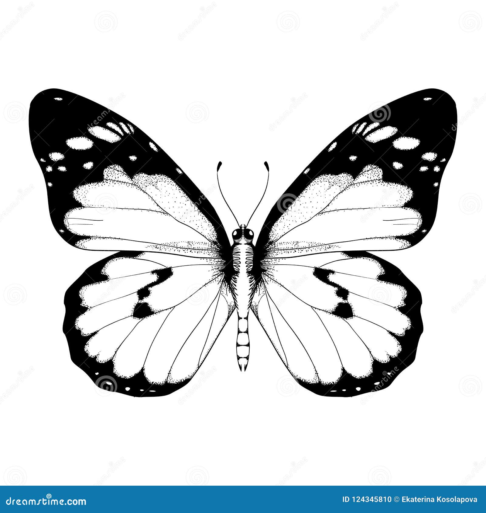 Ilustracao Do Vetor Com Borboleta Preto E Branco Ilustracao Stock Ilustracao De Borboleta Ilustracao 124345810