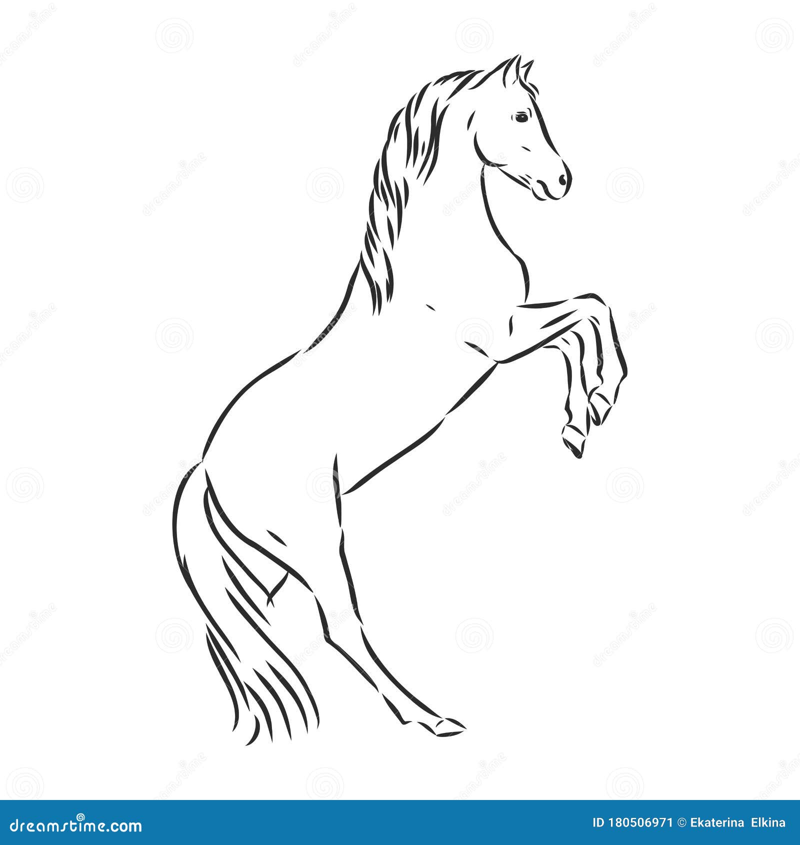 Esboço de linha de vetor de um cavalo correndo imagem vetorial de onot©  112718700