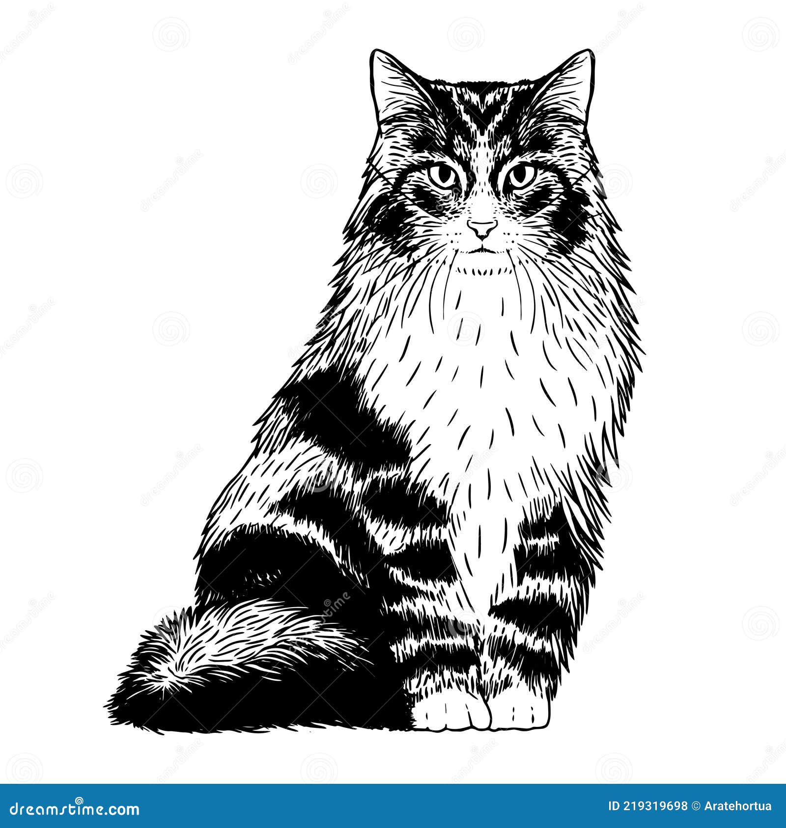 Imagem De Gato Realista Isolada Ilustração do Vetor - Ilustração de animal,  cara: 219319622