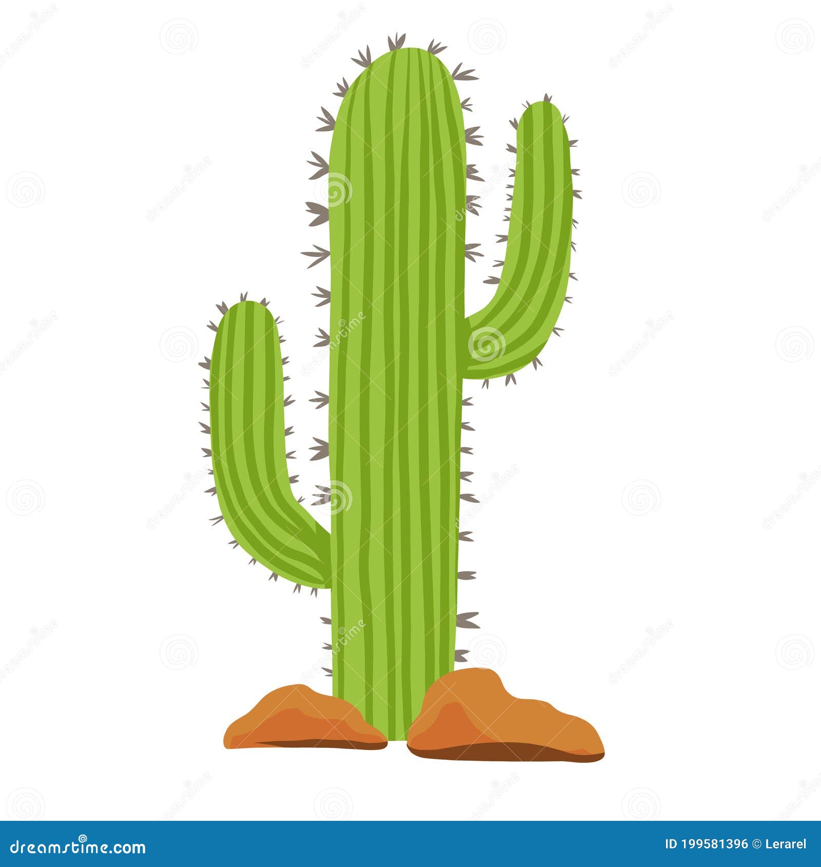 Dois, cacto, plantas, branco, fundo  Cactus vector, Cactus, Cactus plants