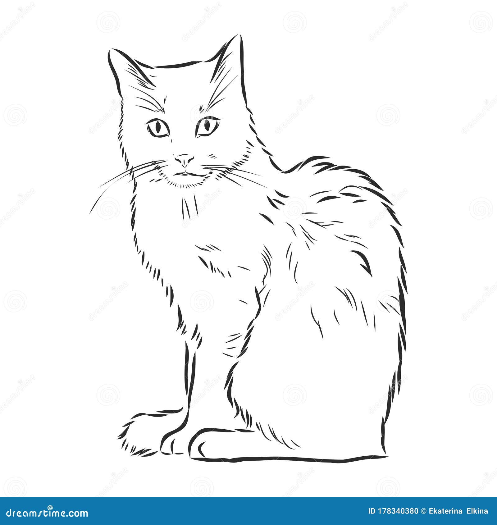 Ilustração Realista Do Desenho Vetorial Do Gato De Estimação Fofo