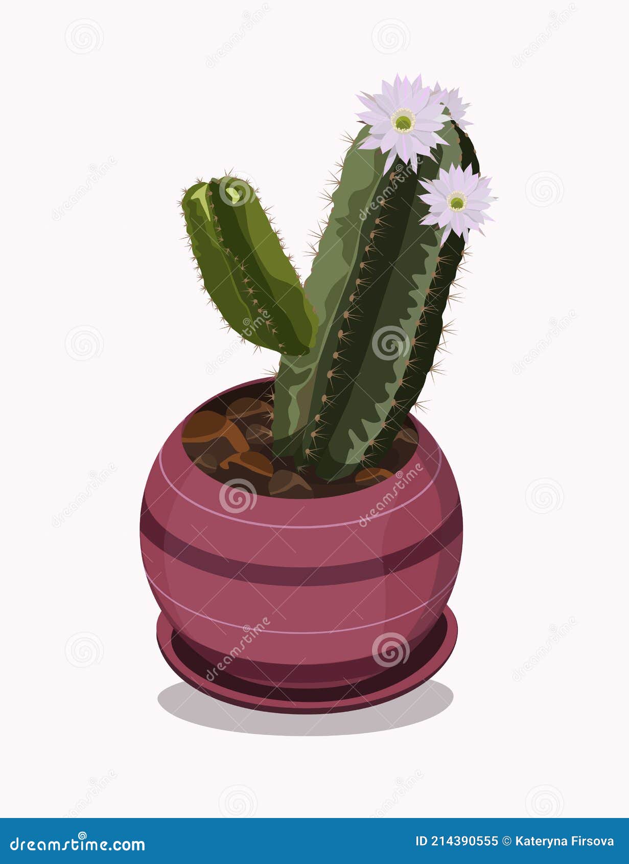 Ilustração Realista Do Vetor De Uma Planta Doméstica. Cactus Florescente  Suculento Num Vaso Ilustração do Vetor - Ilustração de desenho, cacto:  214390555