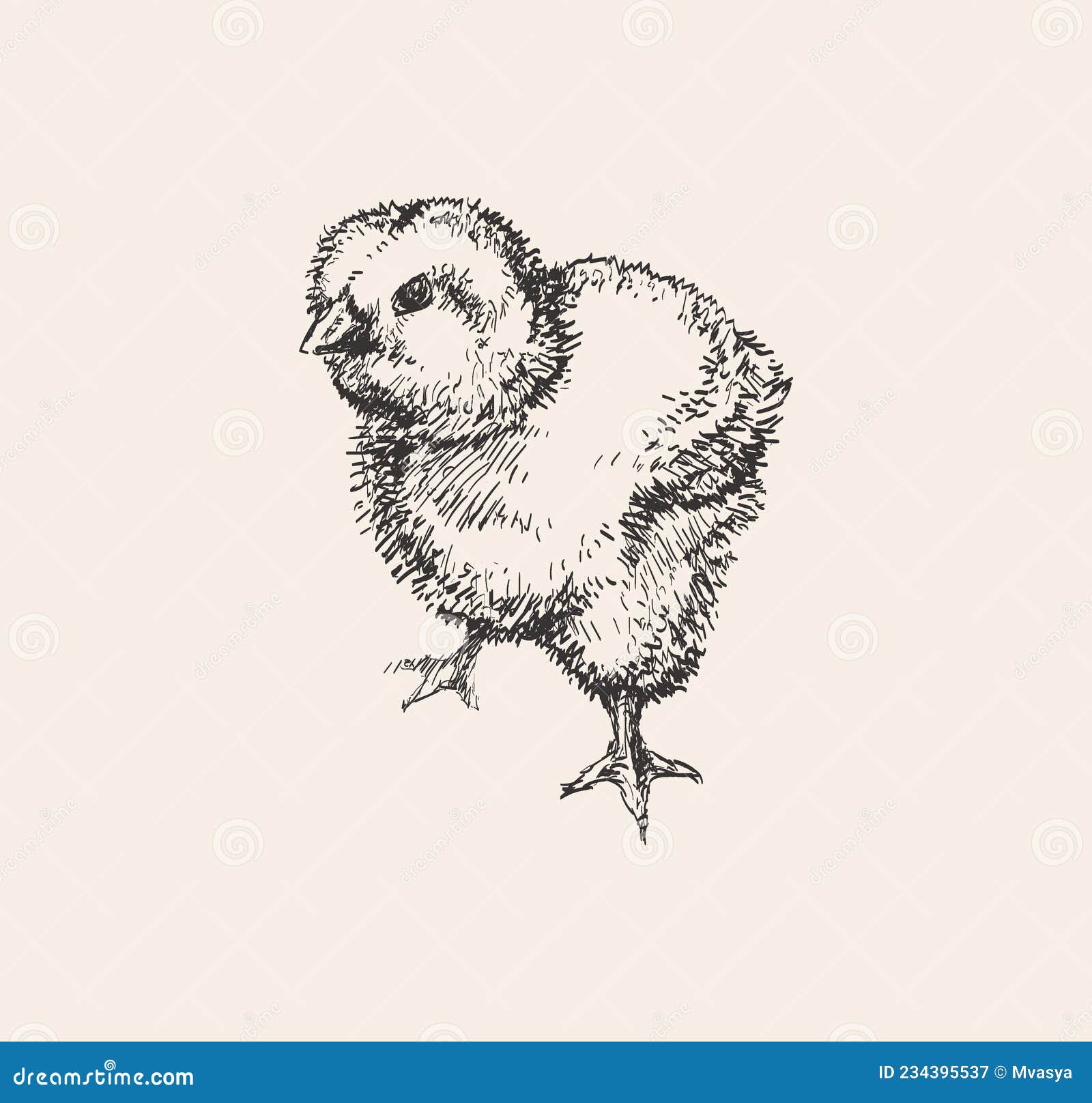 desenho vetorial simples desenhado à mão com contorno preto. aves, frango,  galinha poedeira, agricultura, animal. fazenda orgânica, rótulo, coloração.  desenho a tinta. 16547611 Vetor no Vecteezy
