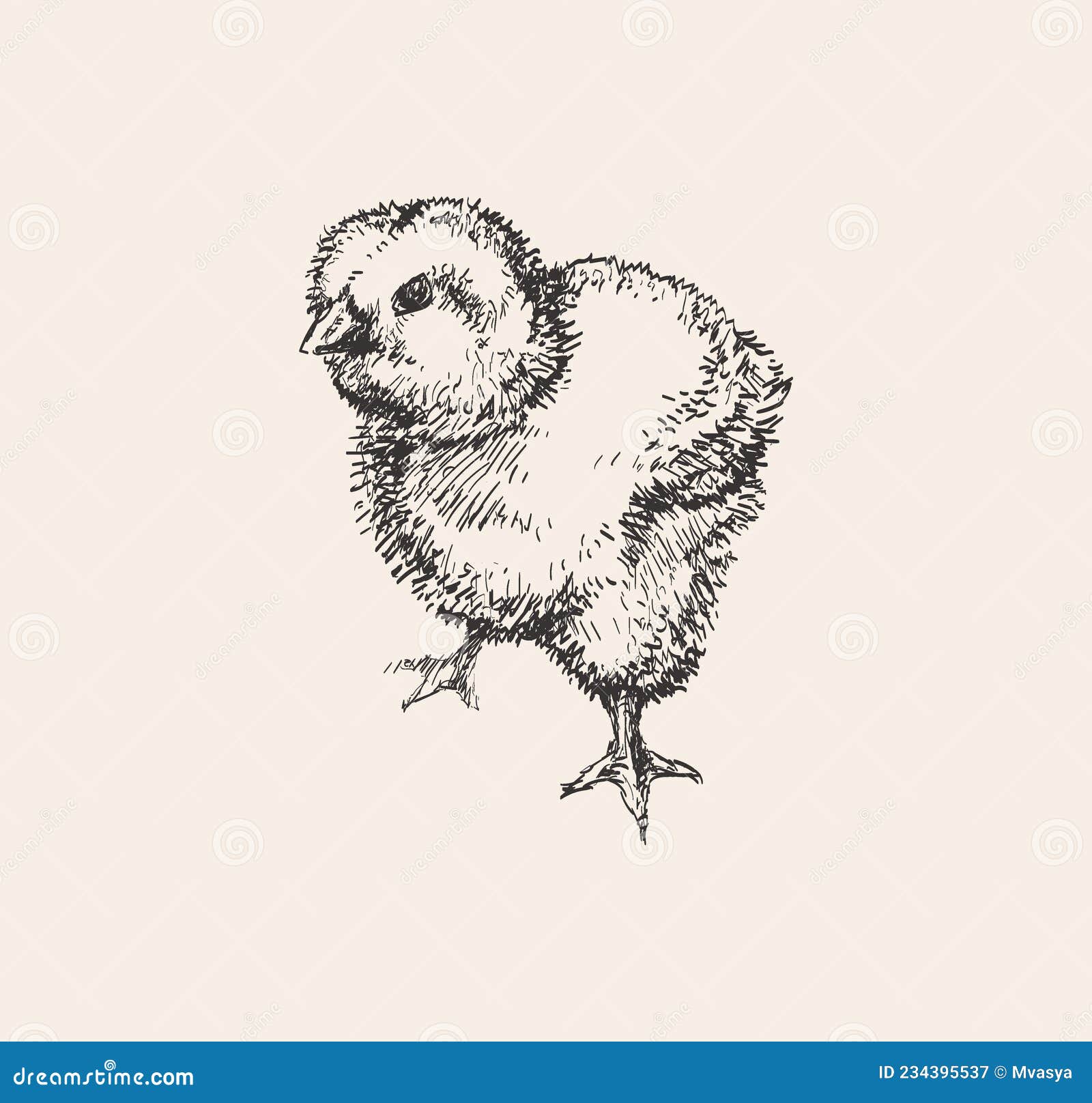 Vetores de Esboço De Vetor Simples Desenhado À Mão Com Contorno Preto Aves Frango  Galinha Agricultura Animal Fazenda Orgânica Rótulo Coloração Desenho De  Tinta e mais imagens de Agricultor - iStock