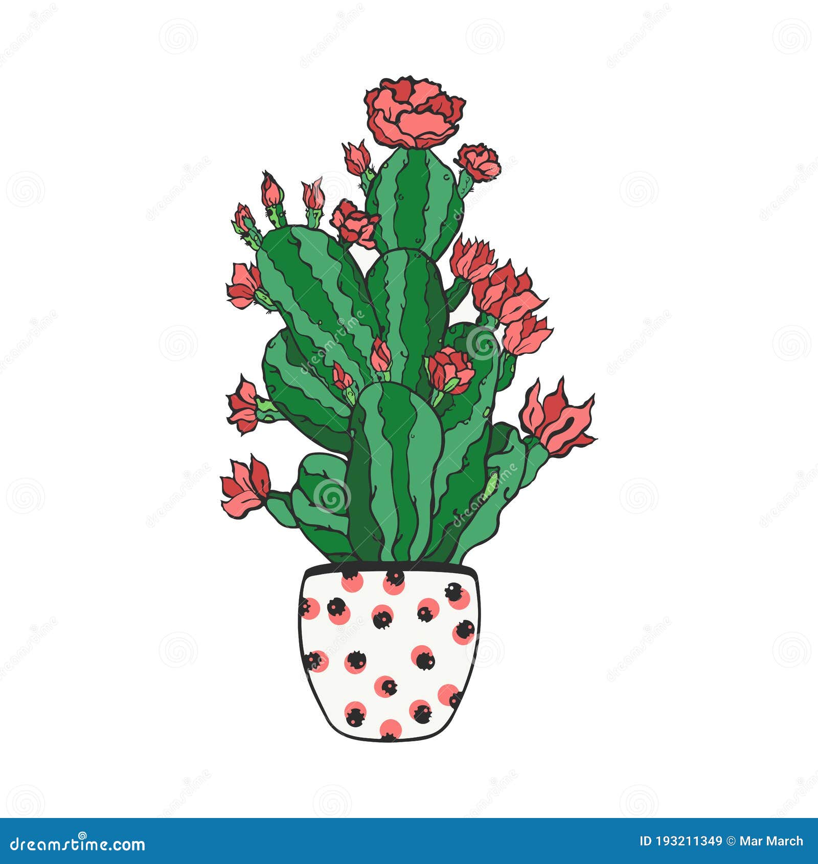Ilustração Realista Do Vetor De Uma Planta Doméstica. Cactus Florescente  Suculento Num Vaso Ilustração do Vetor - Ilustração de desenho, cacto:  214390555