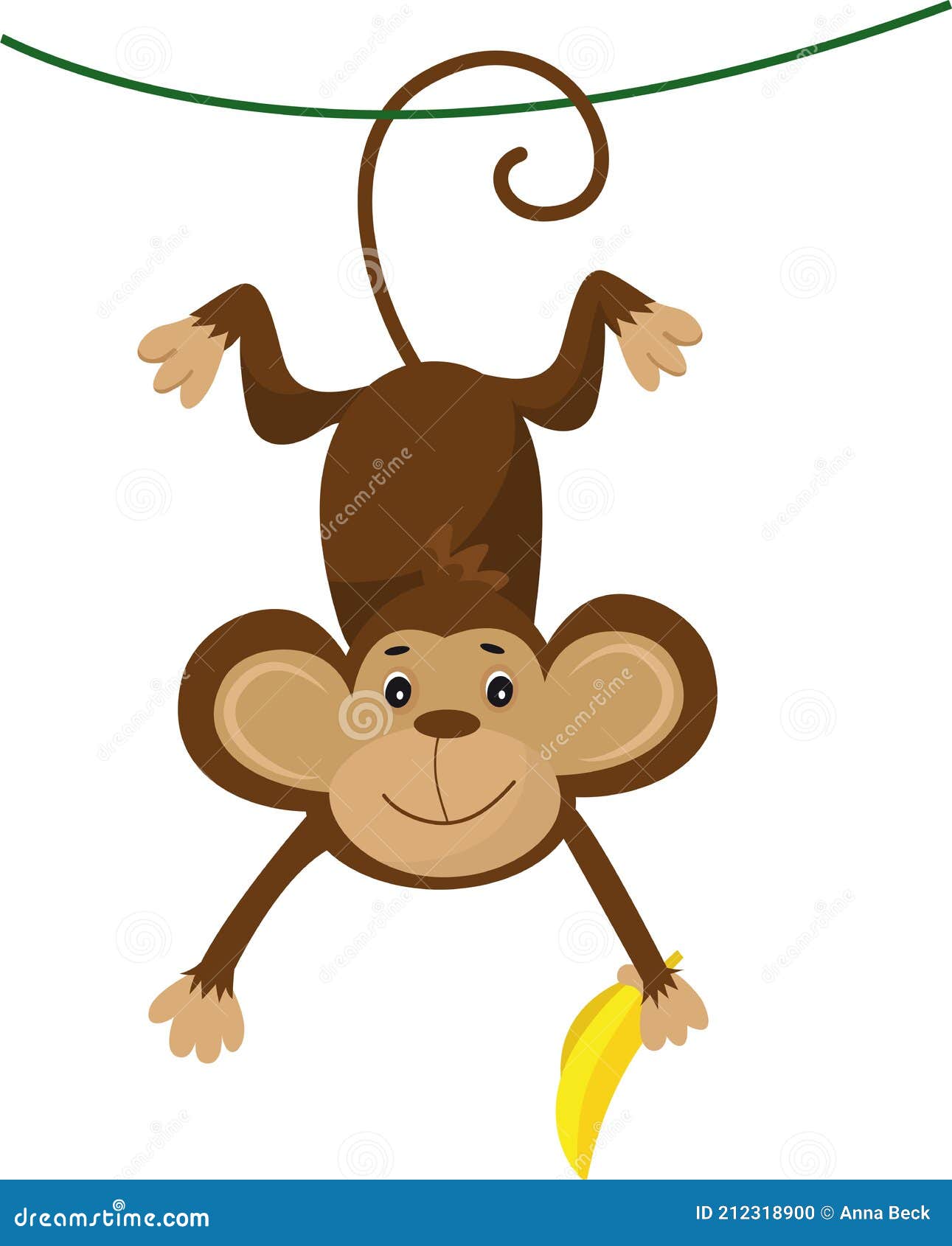 Vetor de macaco fêmea ilustração do vetor. Ilustração de pouco - 203257005