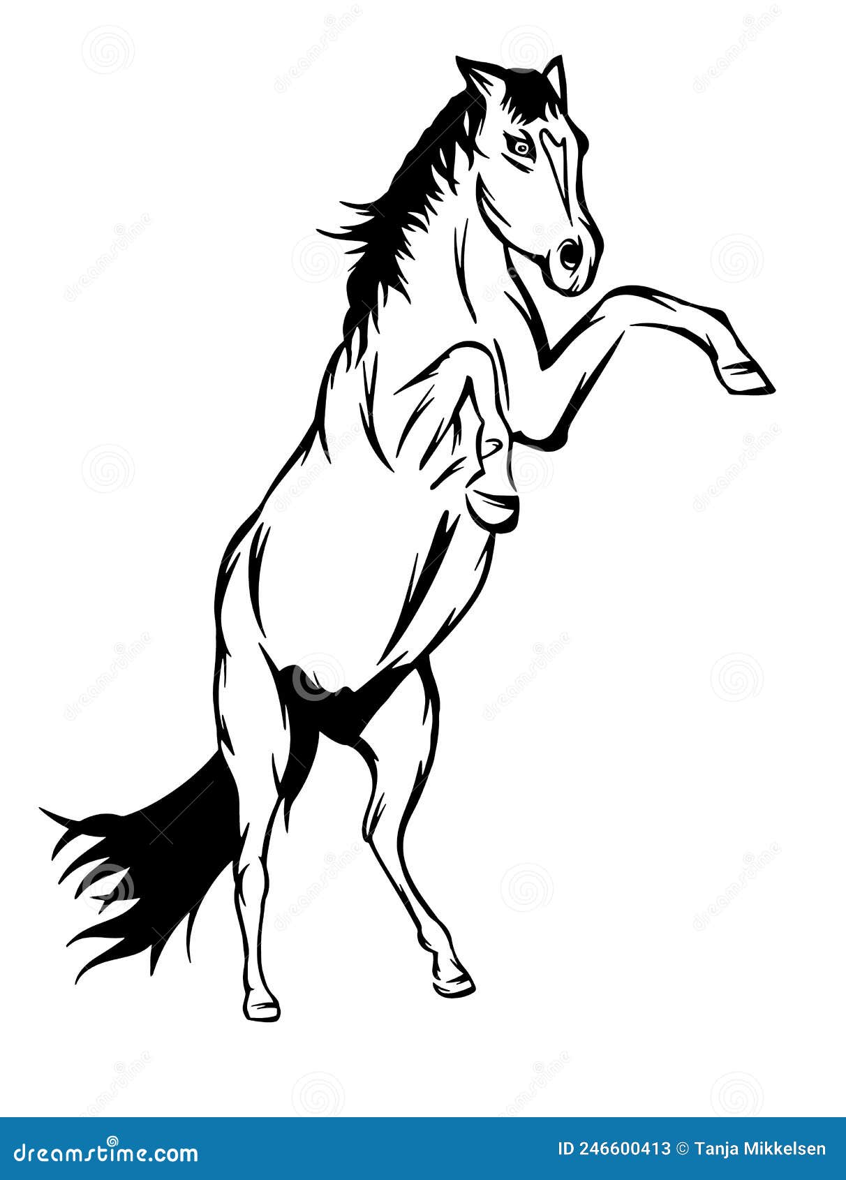 Arte Curiosa Da Linha De Cavalo Ilustração do Vetor - Ilustração de  logotipo, branco: 252242372