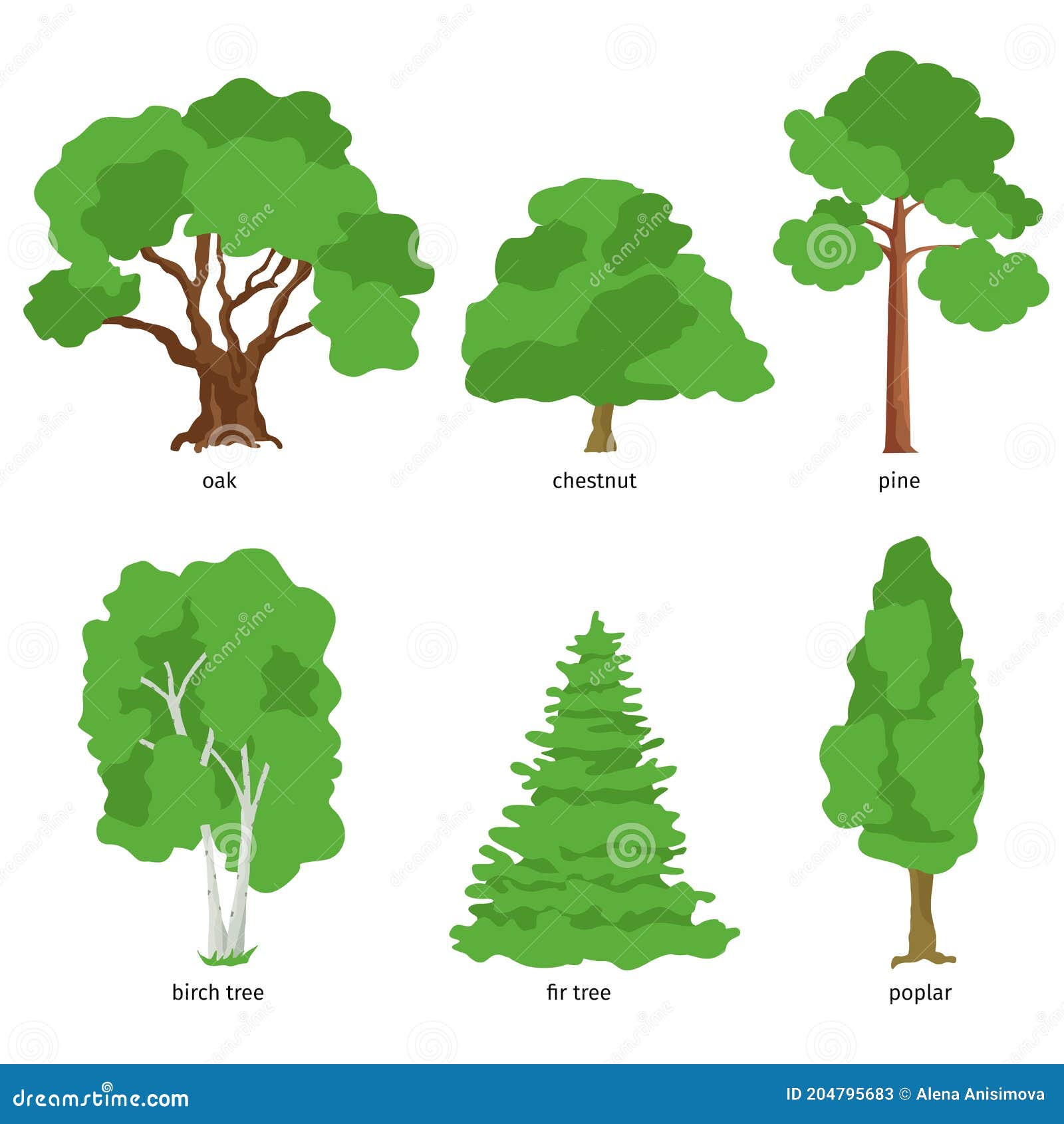 Ilustración De Diferentes Tipos De árbol. Ilustración De Vector De Dibujos  Animados Plana Stock de ilustración - Ilustración de travieso, verde:  204795683