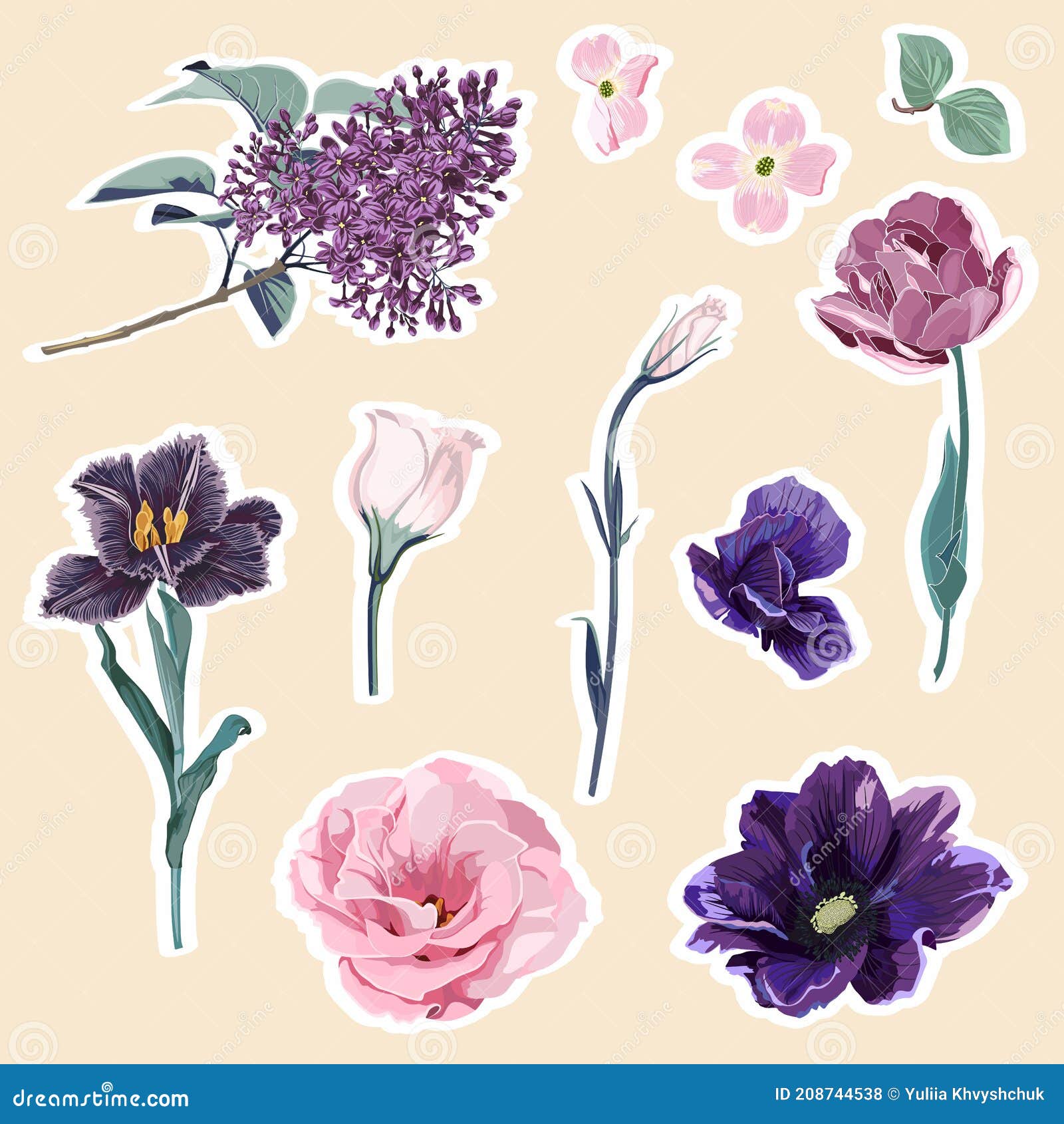 Ilustración De Pegatinas De Flores De Primavera. Elementos Florales.  Hermosa Colección Romántica De Flores Con Anémonas Tulipicas. Ilustración  del Vector - Ilustración de etiqueta, floral: 208744538