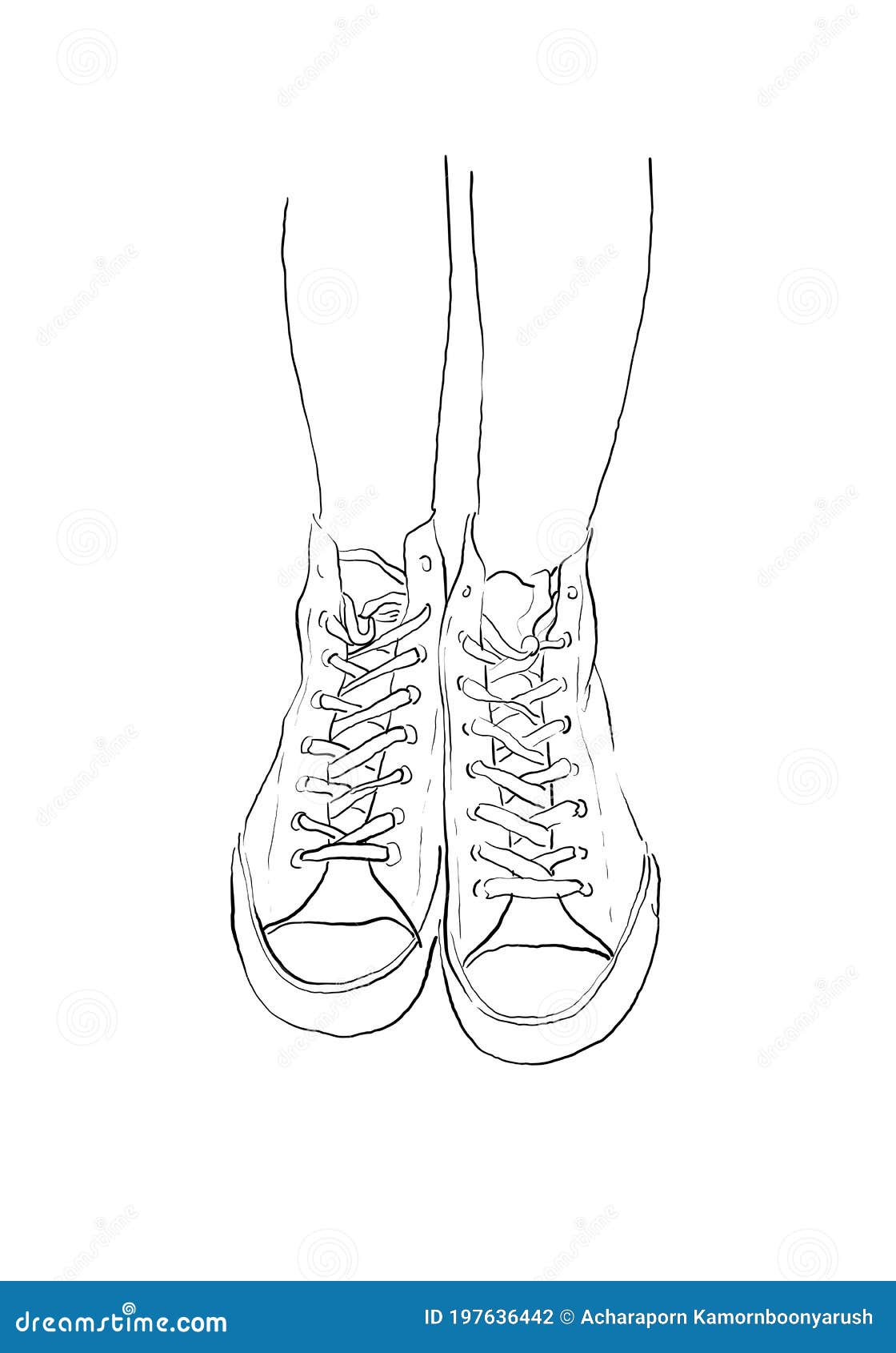 Dibujo De Línea De Calzado. Zapatillas Zapatillas De Deporte