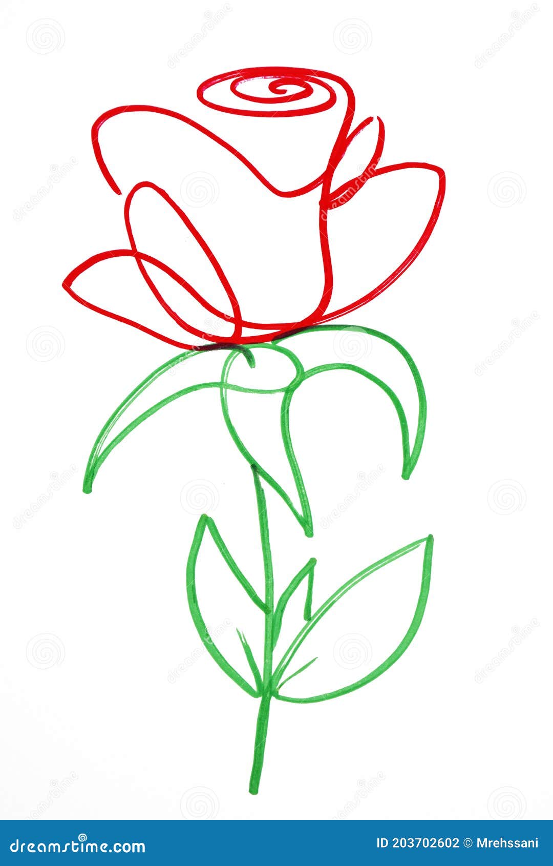Cómo dibujar paso a paso una rosa a lápiz o carboncillo