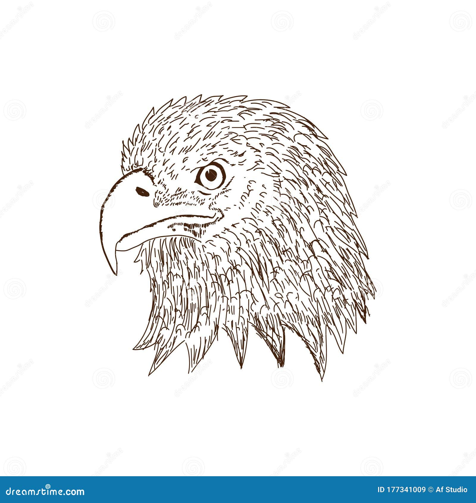 Ilustración Del Vector De La Cabeza Del águila Dibujada a Mano Ilustración  del Vector - Ilustración de animal, negro: 177341009
