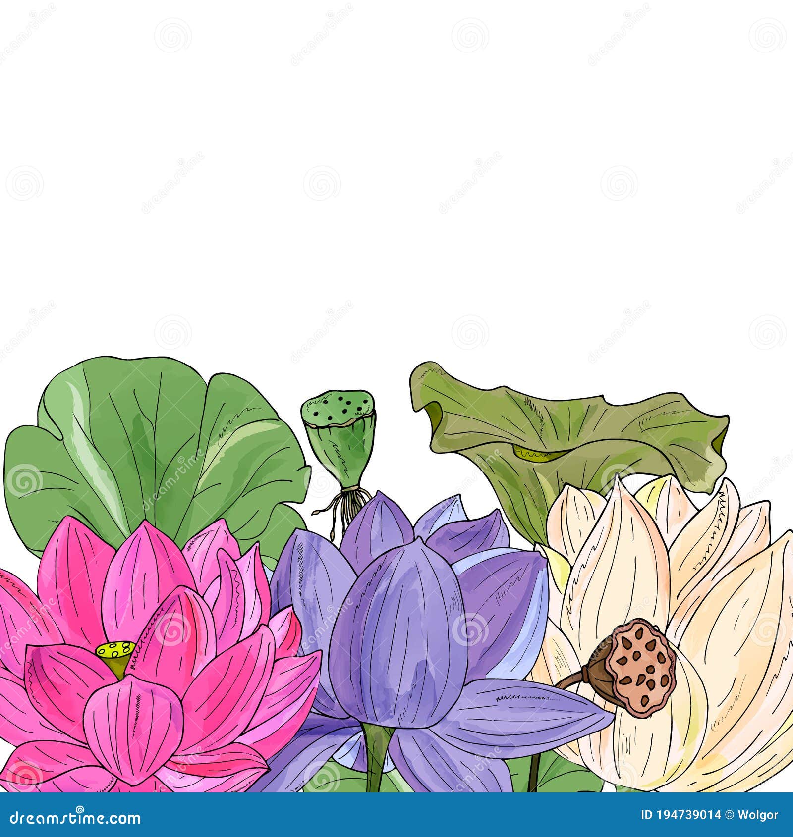 Ilustración Floral Con Delicadas Hojas De Flores De Loto Ilustración del  Vector - Ilustración de flores, saludo: 194739014