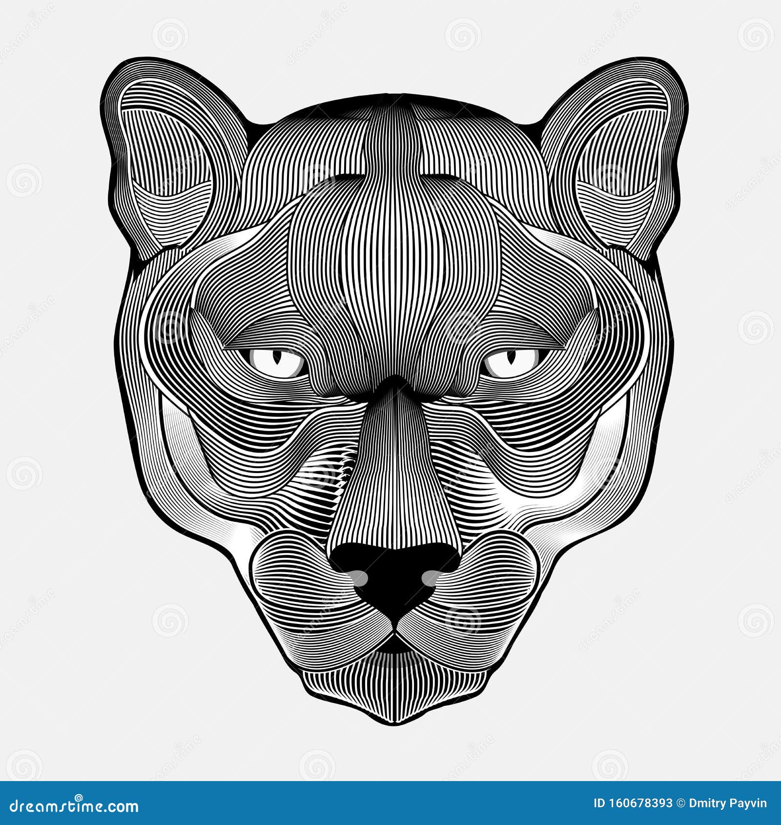 IlustraciÃ³n Lineal De Color Blanco Negro De La Puma Ilustración del Vector - Ilustración de cubierta, gato: 160678393