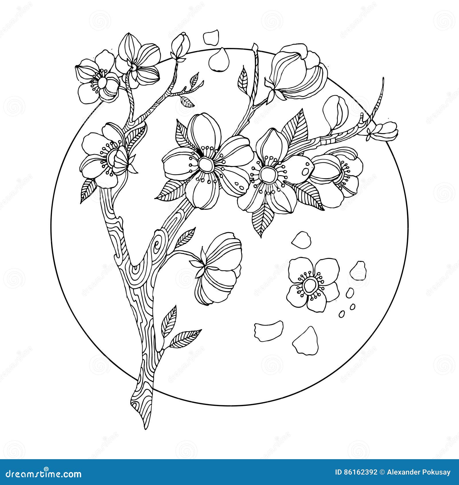 Ilustra o Do Vetor Do Livro Para Colorir Da Flor De Ilustra o Do Vetor Do Livro Para Colorir Da Flor De