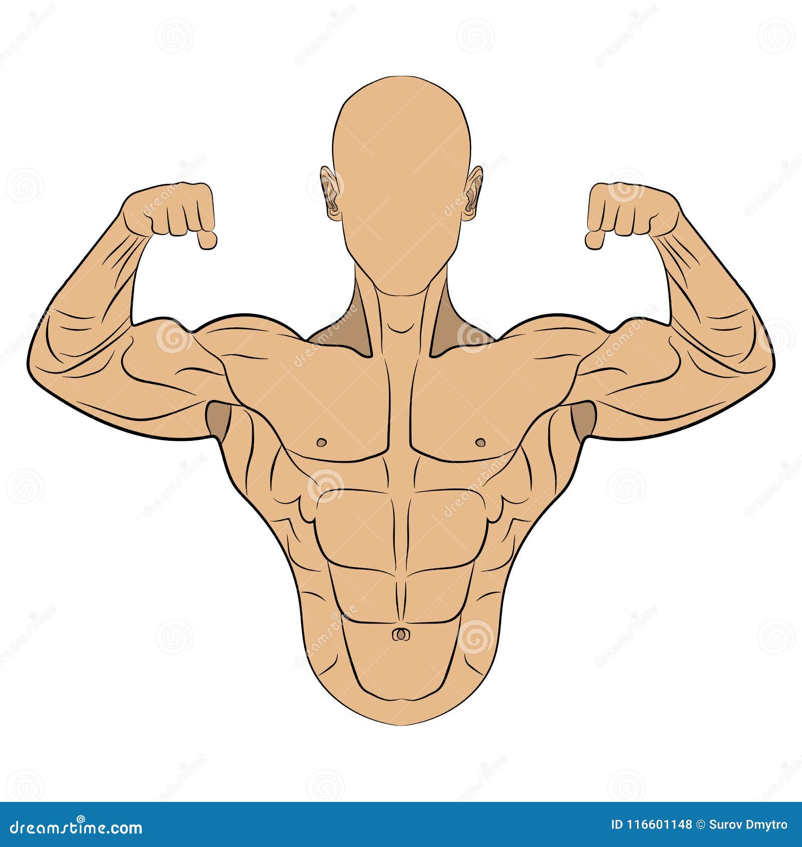 ilustração inflada do desenho do homem do músculo do corpo ilustração