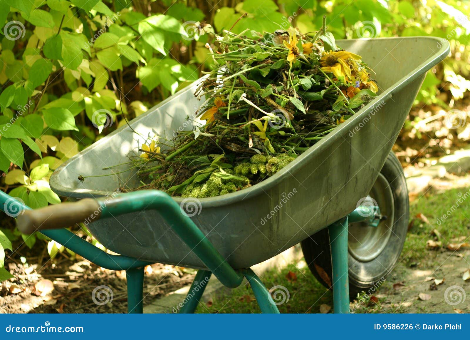 Im Garten Arbeitendes Organisches Material Stockfoto