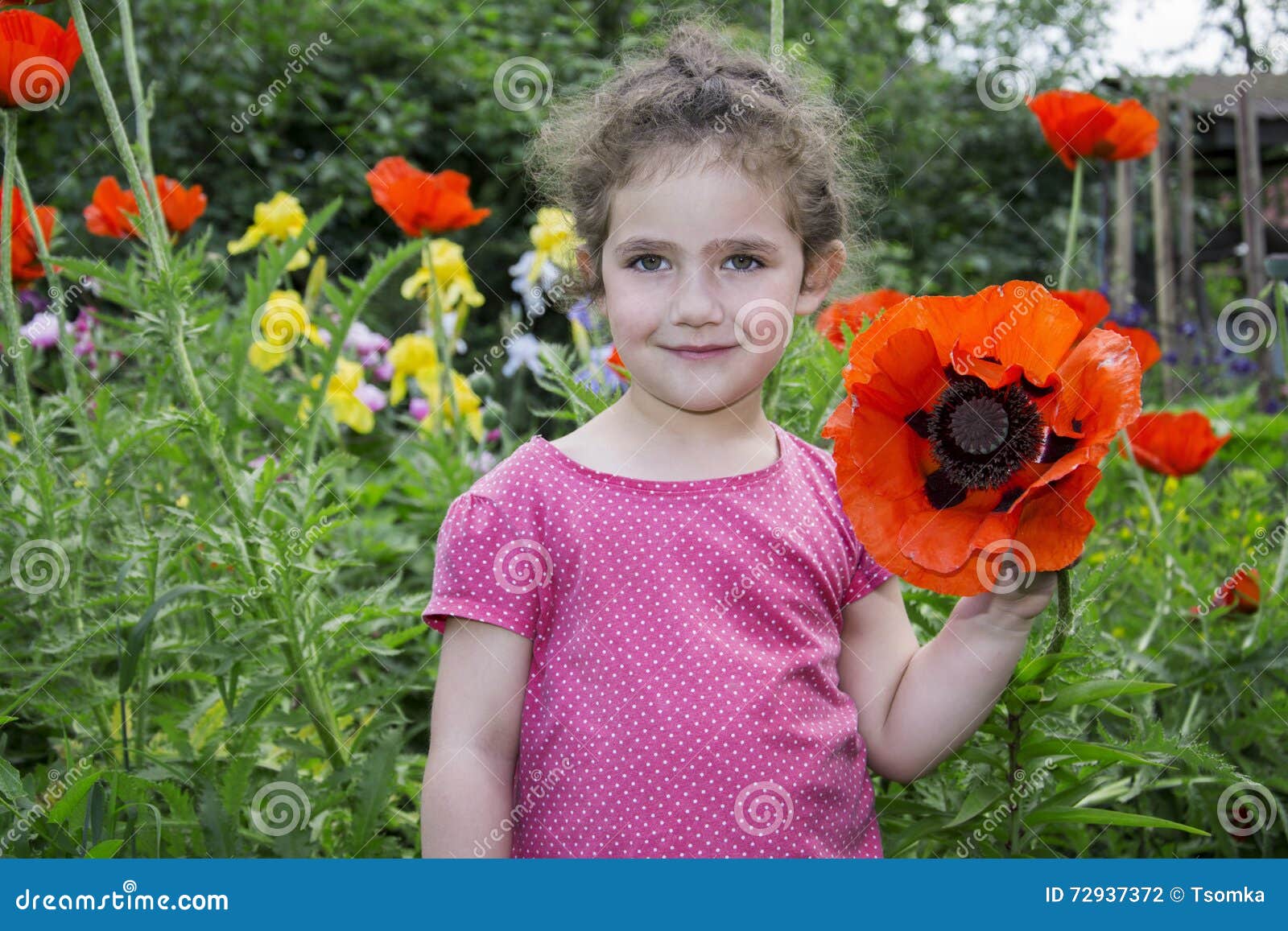 Im Sommer Ist Der Garten Ein Kleines Mädchen in Den Mohnblumen