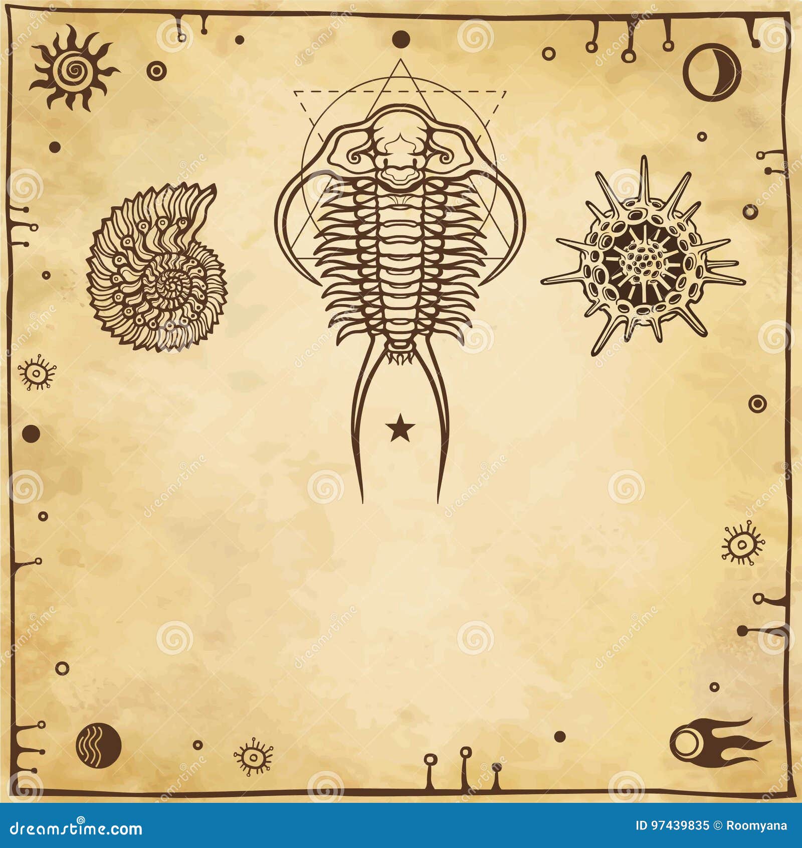 image of ancient marine organisms: trilobit, mollusk, radiolaria.