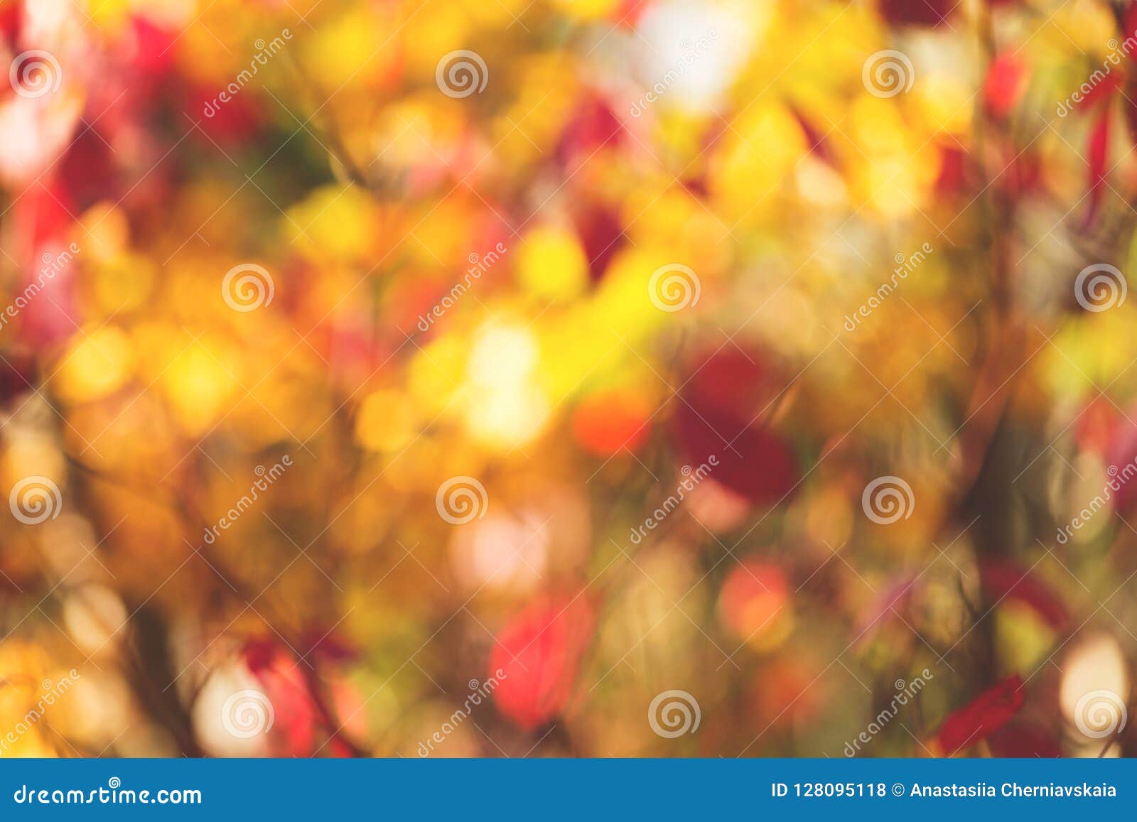 Hãy tưởng tượng bạn đang đi trong công viên và dưới ánh nắng mùa thu, những chiếc lá từng màu, từng hình hài đều rơi rụng xuống. Hãy xem hình ảnh liên quan để cảm nhận vẻ đẹp của chiếc lá và cả thế giới đang xung quanh bạn.