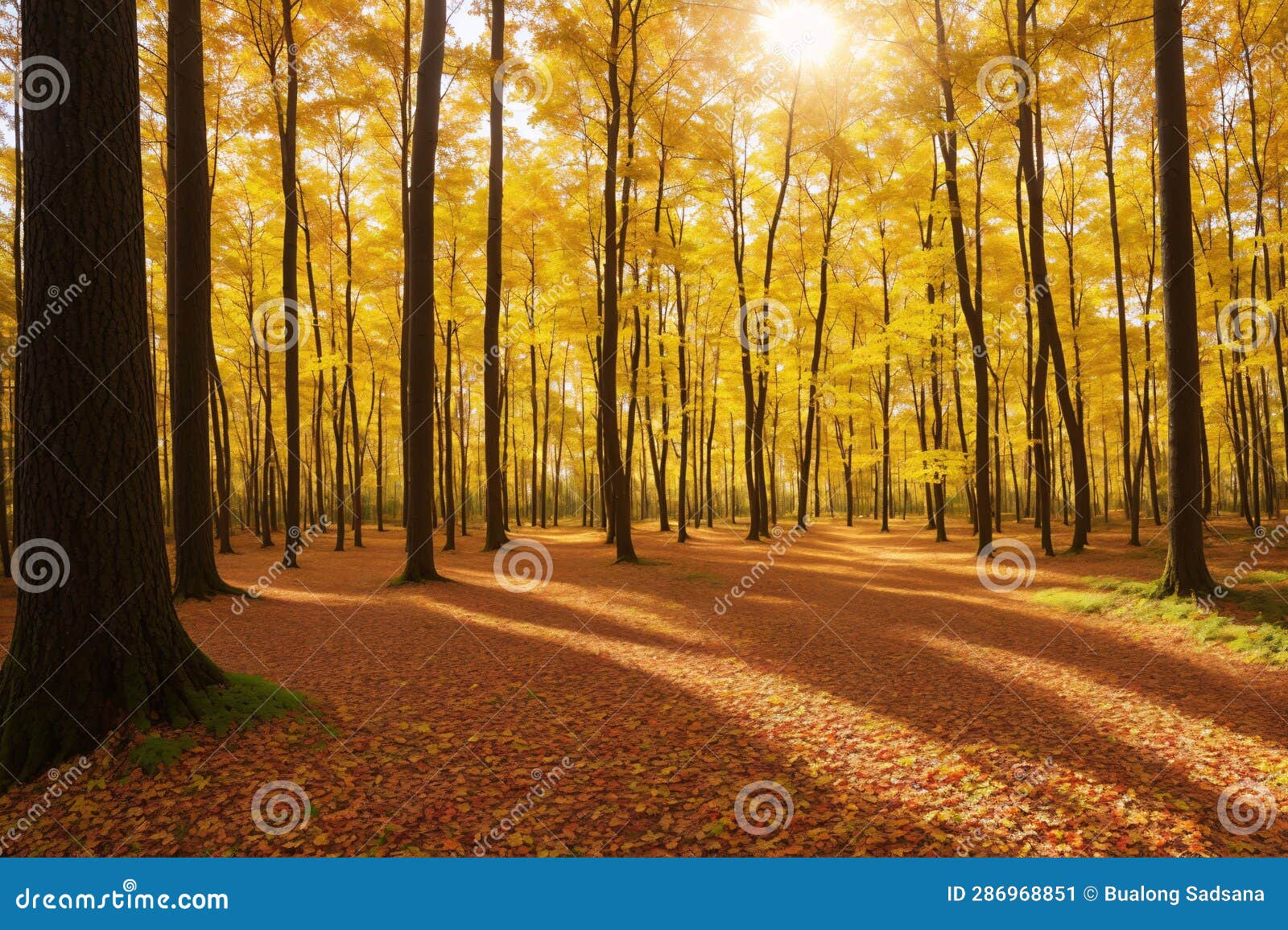 autumn in a pine forest.nature in the vicinity of pruzhany, brest region, belarus . made with generative ai