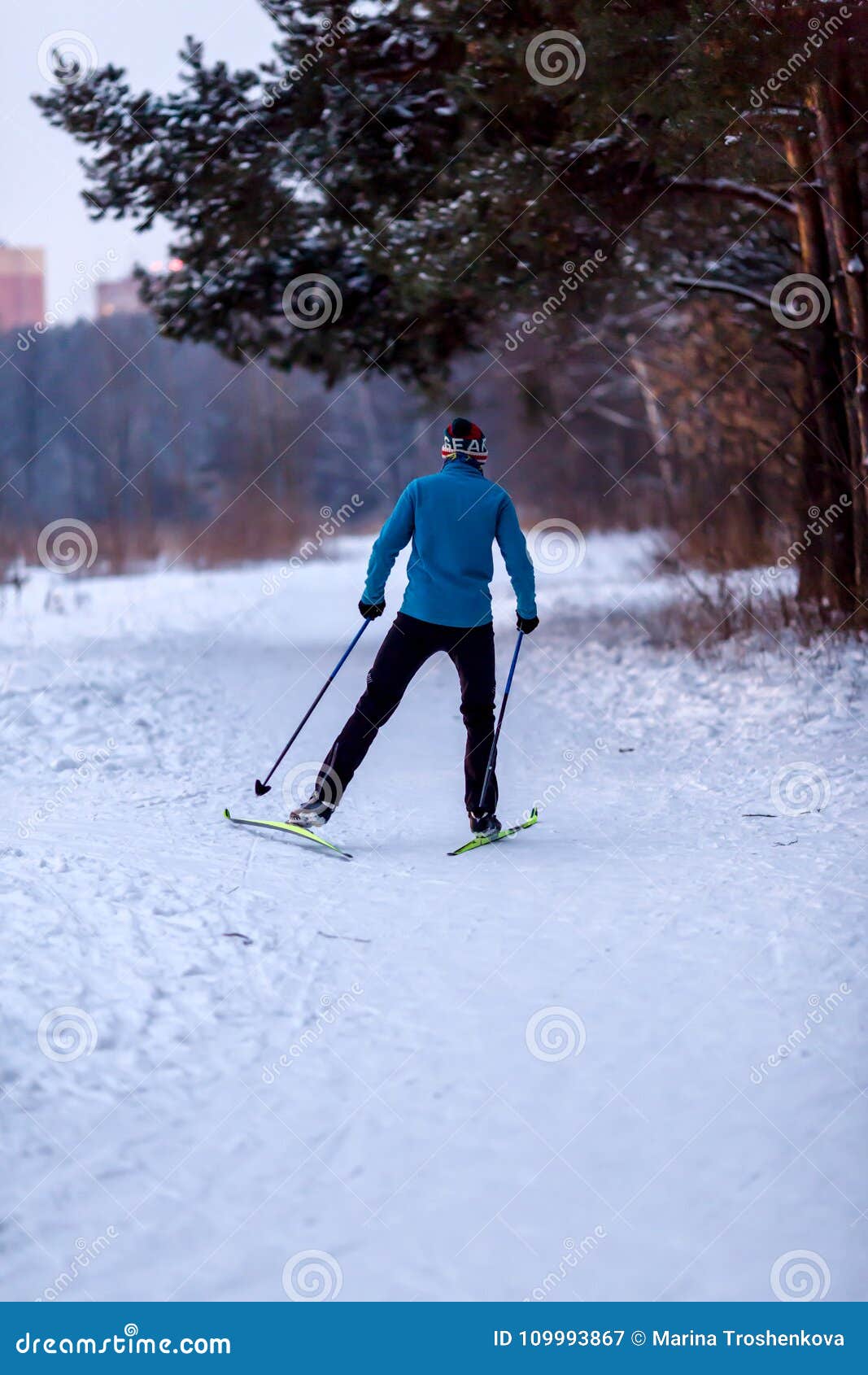 Image from Back of Male Skier in Blue Jacket in Winter Forest Stock ...