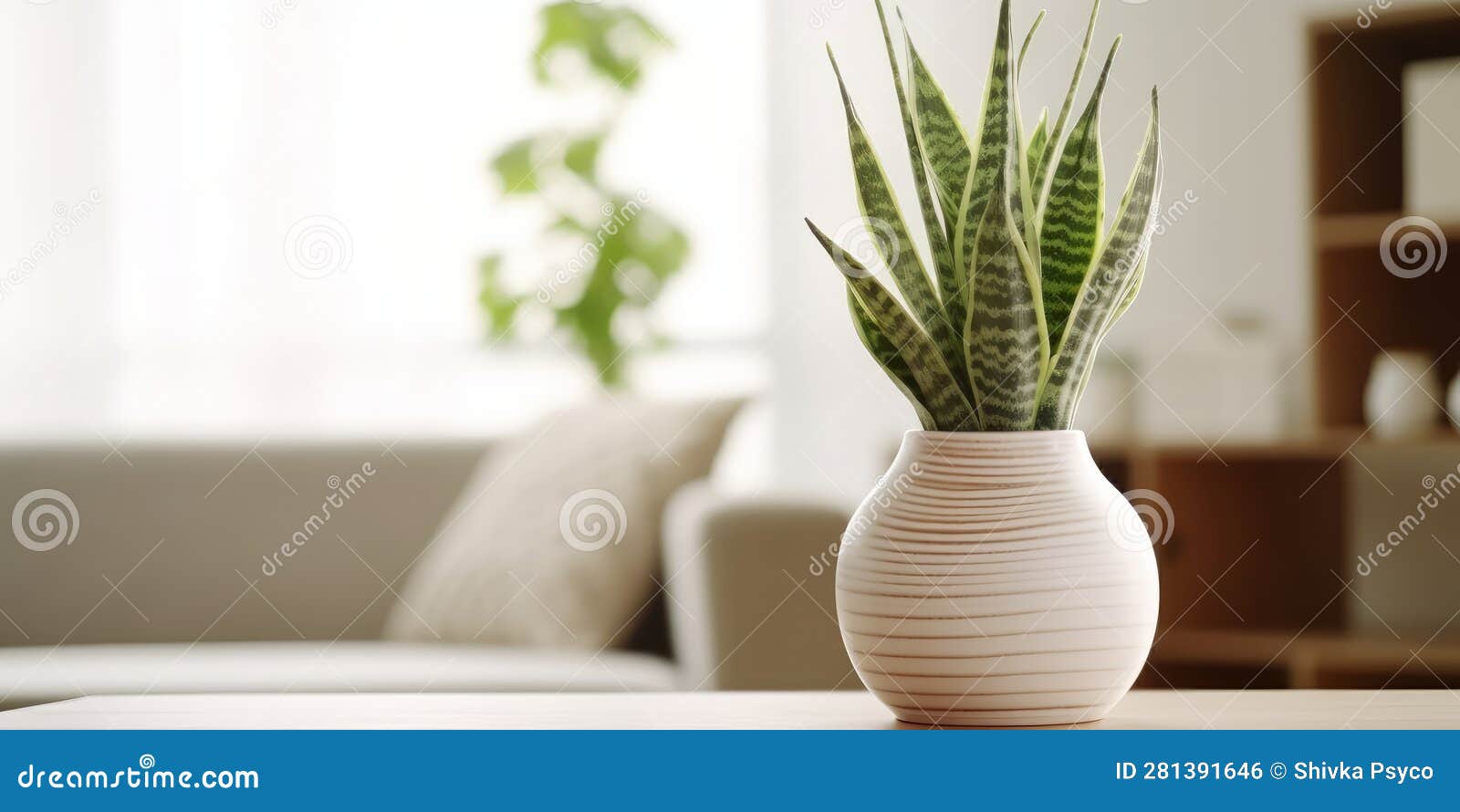 Image of Beautiful Snake Plant in Ceramic White Vase Generative AI