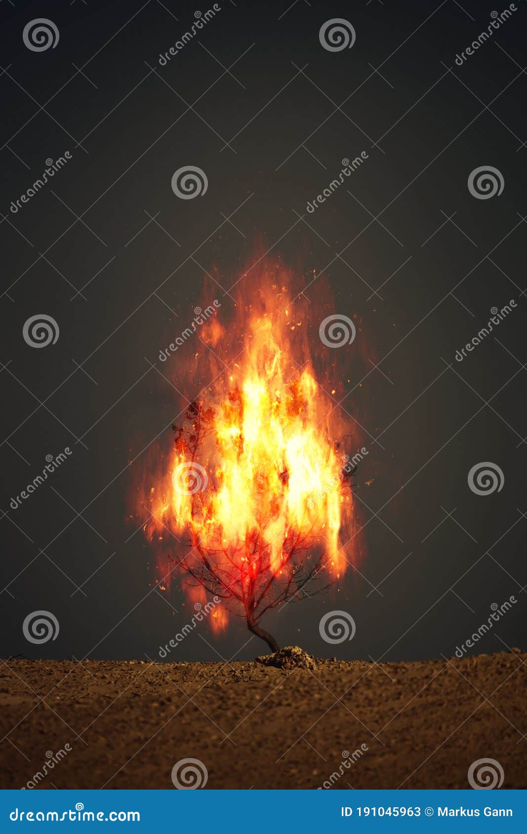 burning thorn bush christian 