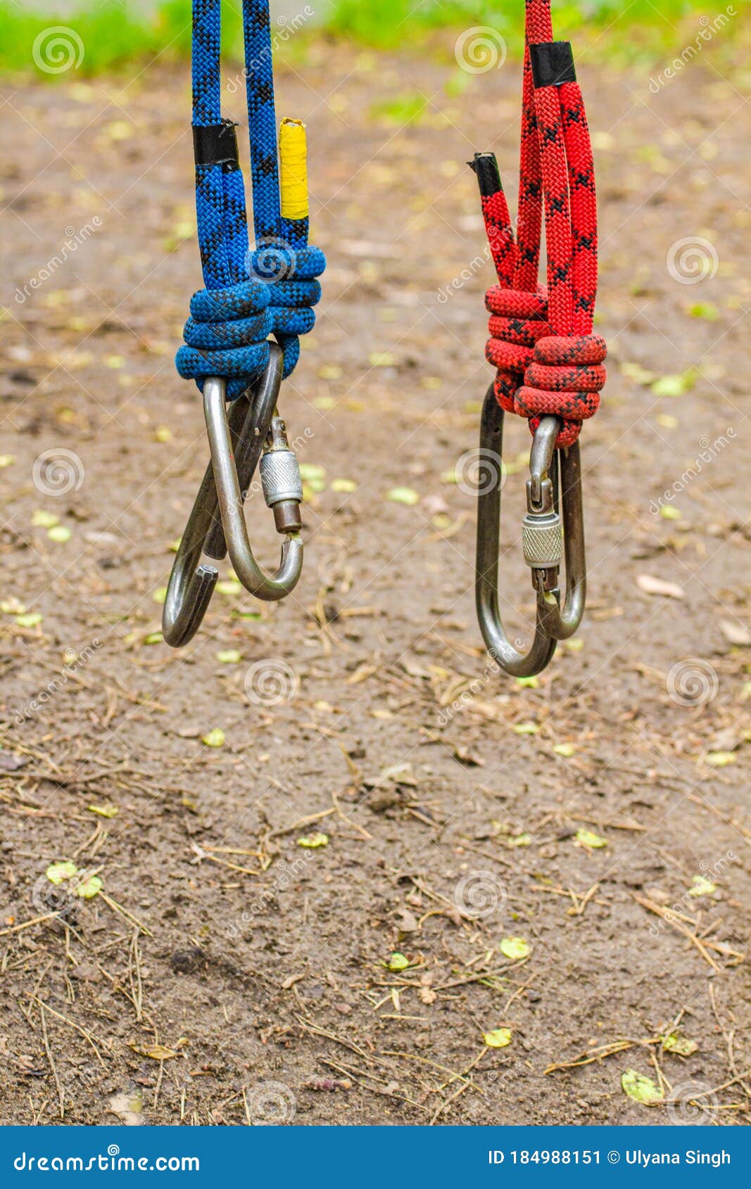 https://thumbs.dreamstime.com/z/image-carabine-hooks-blue-red-climbing-ropes-hanging-down-shackles-attached-to-lines-rope-hitch-adventure-park-copy-184988151.jpg