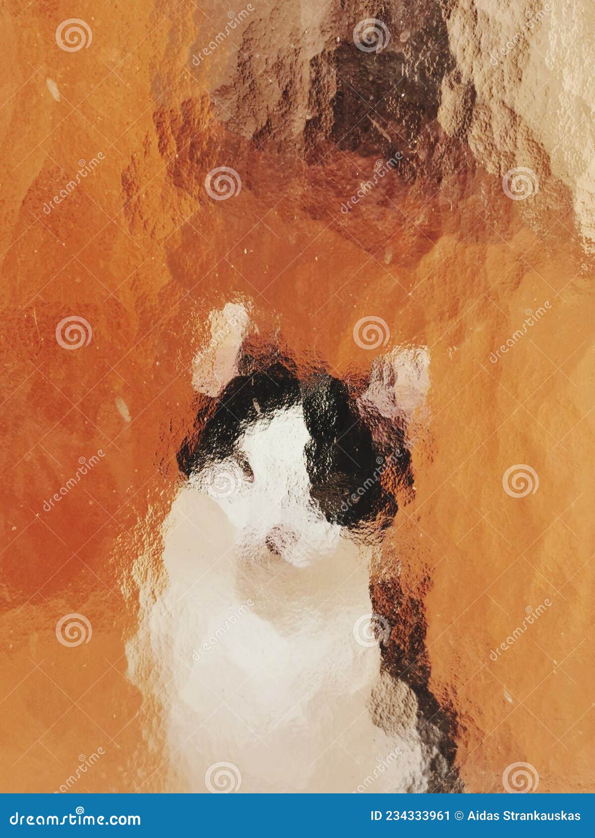 Image of Cat through Glass Door Stock Image Image of glass, painting