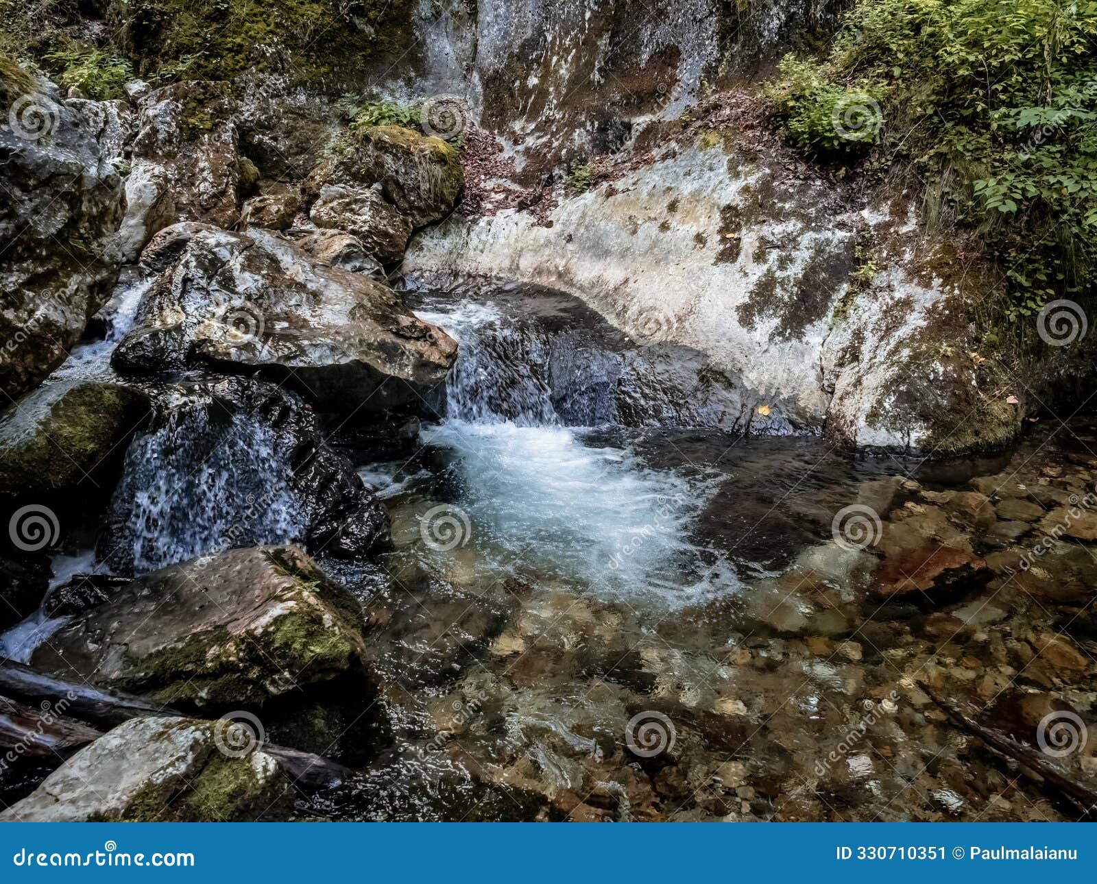 image from cheile butii gorge, near campu lui neag, romania