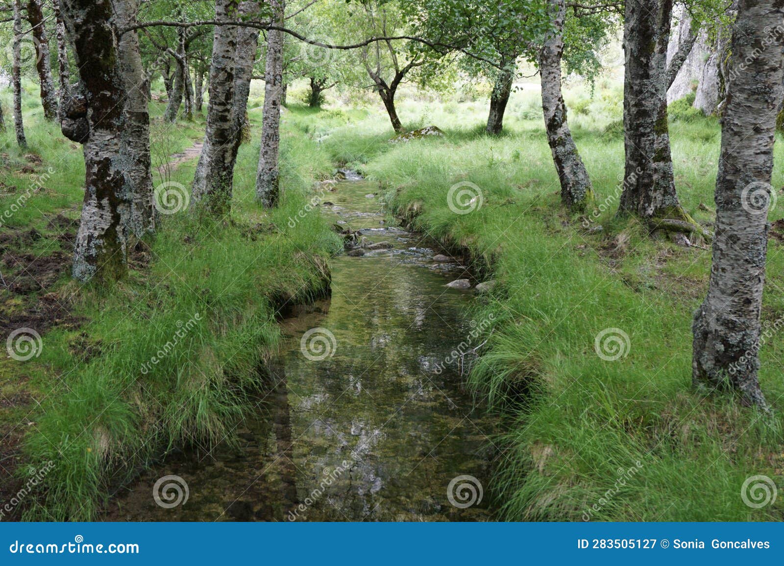 river zezere in serra da estrela natural park in portugal