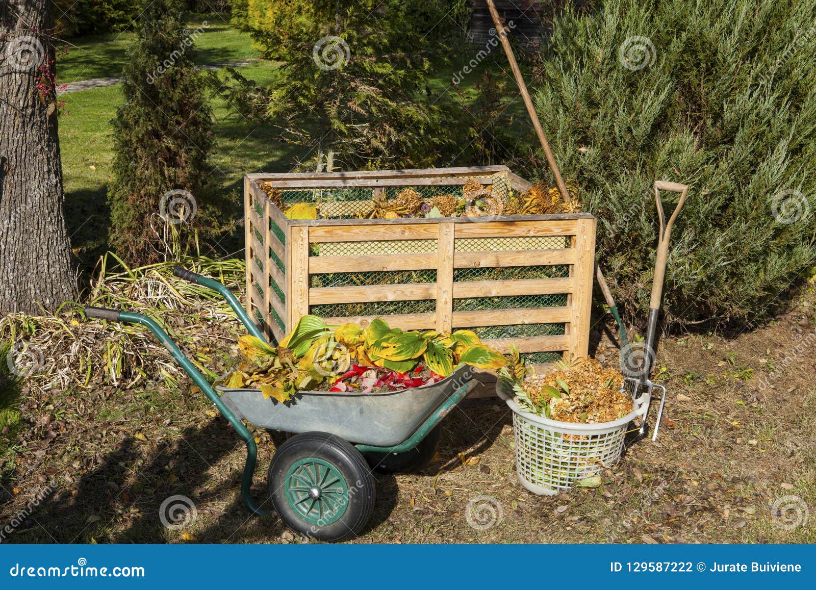 image of compost bin in the garden