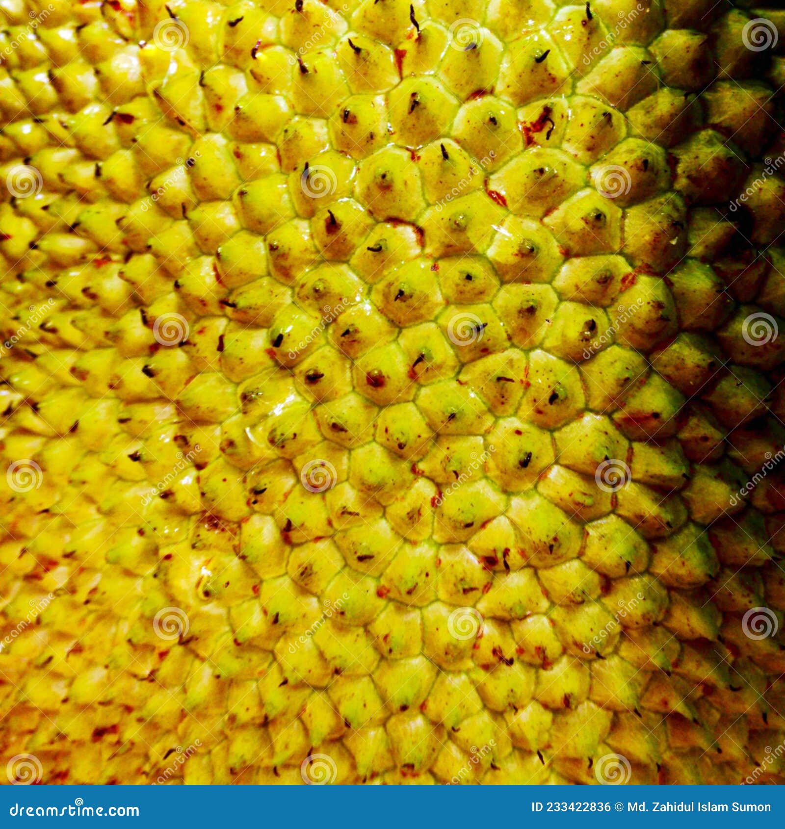 jackfruit peel texture for background