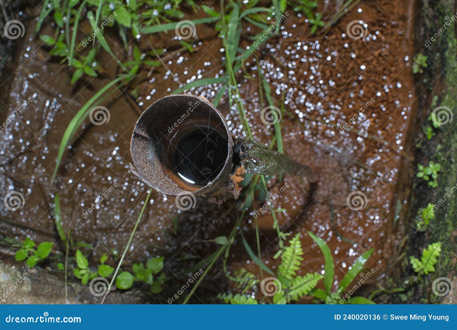 Corroded Water Pipe Leaking Onto the Ground Stock Photo Image of