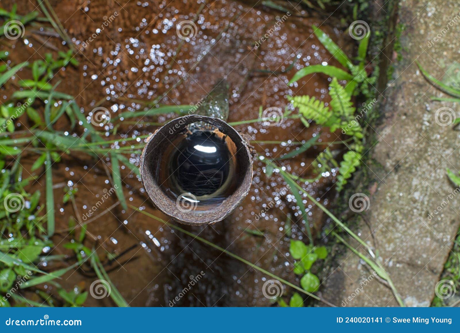 Corroded Water Pipe Leaking Onto the Ground Stock Image Image of