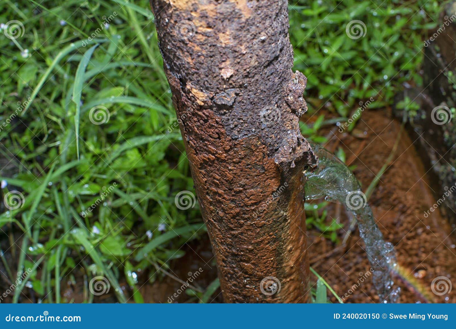 Corroded Water Pipe Leaking Onto the Ground Stock Photo Image of leak