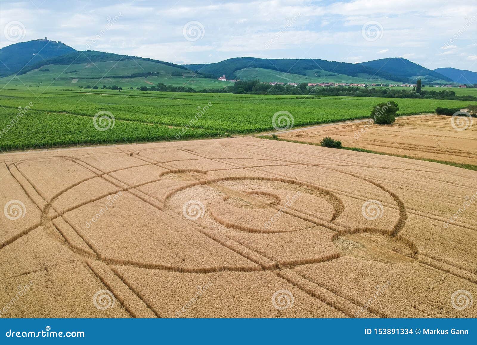 crop circles field alsace france