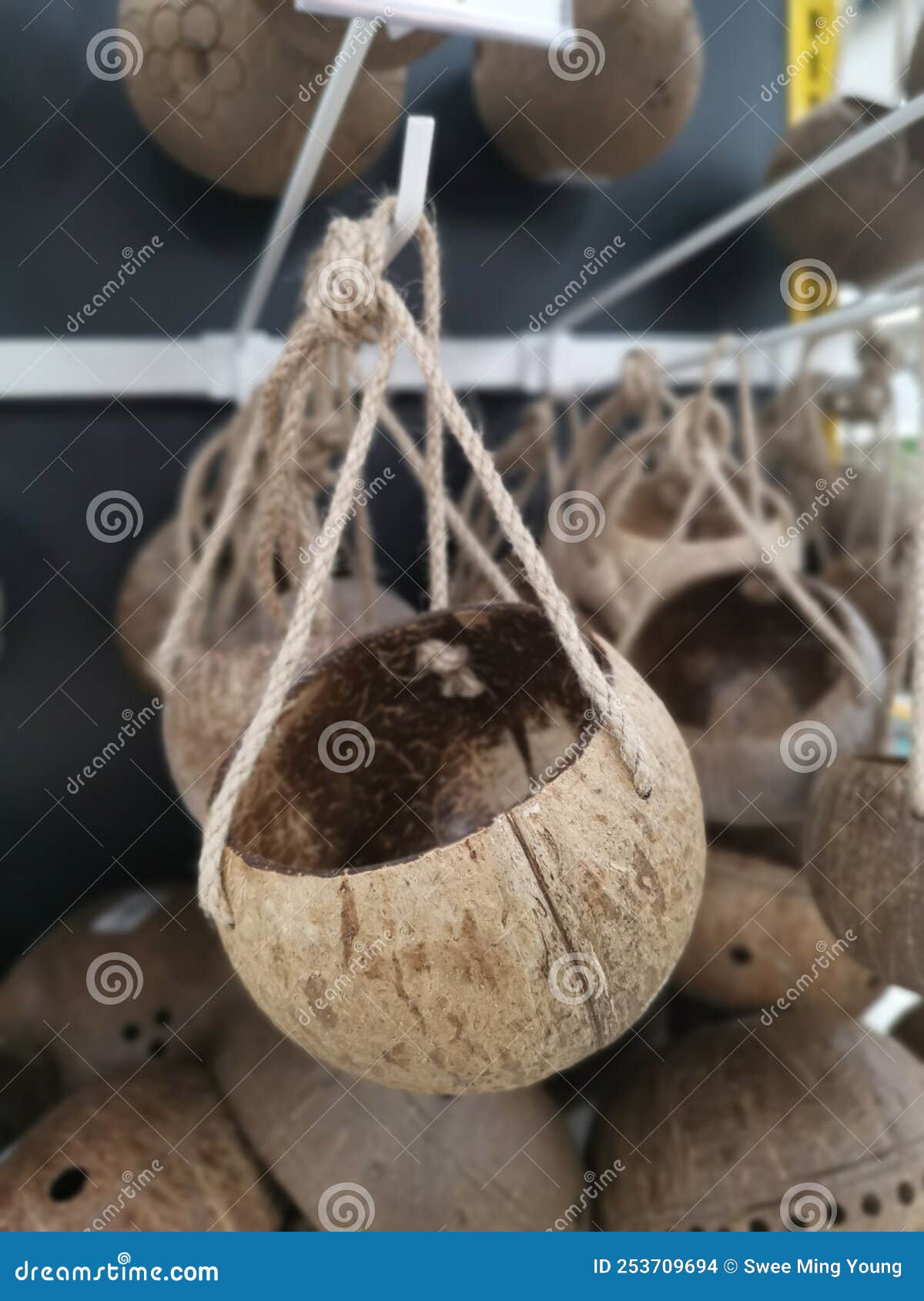 Decorative Bowl Made from the Coconut Shell Stock Photo Image of