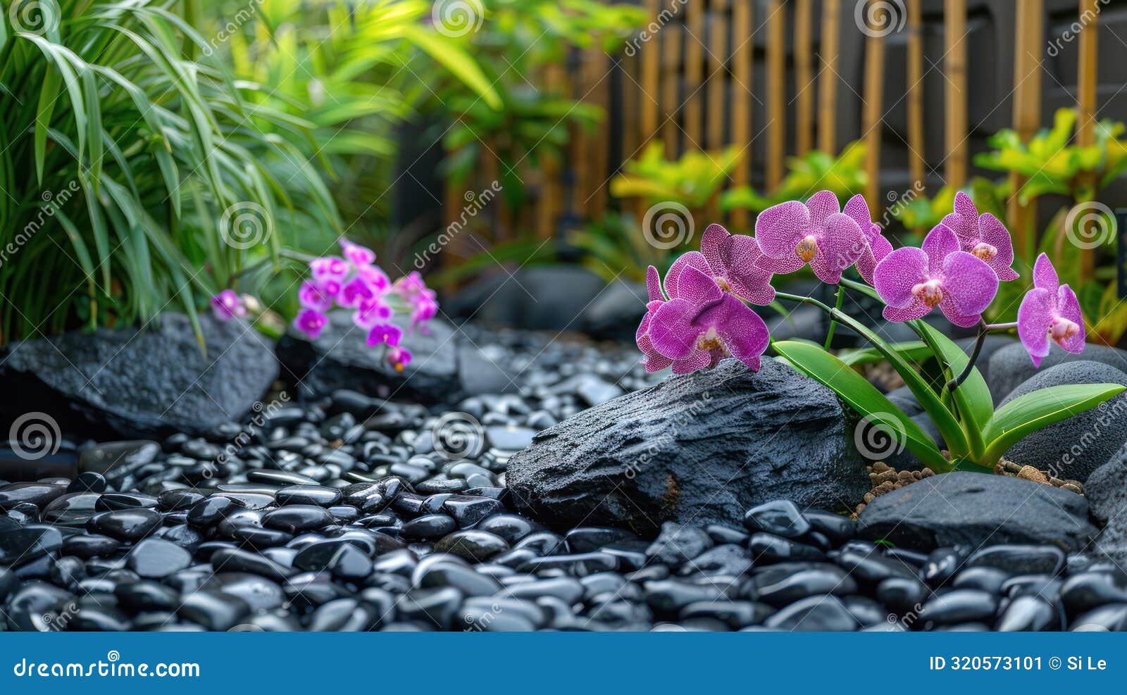 zen garden: bamboo, orchids, and stones in a serene composition of purple and black