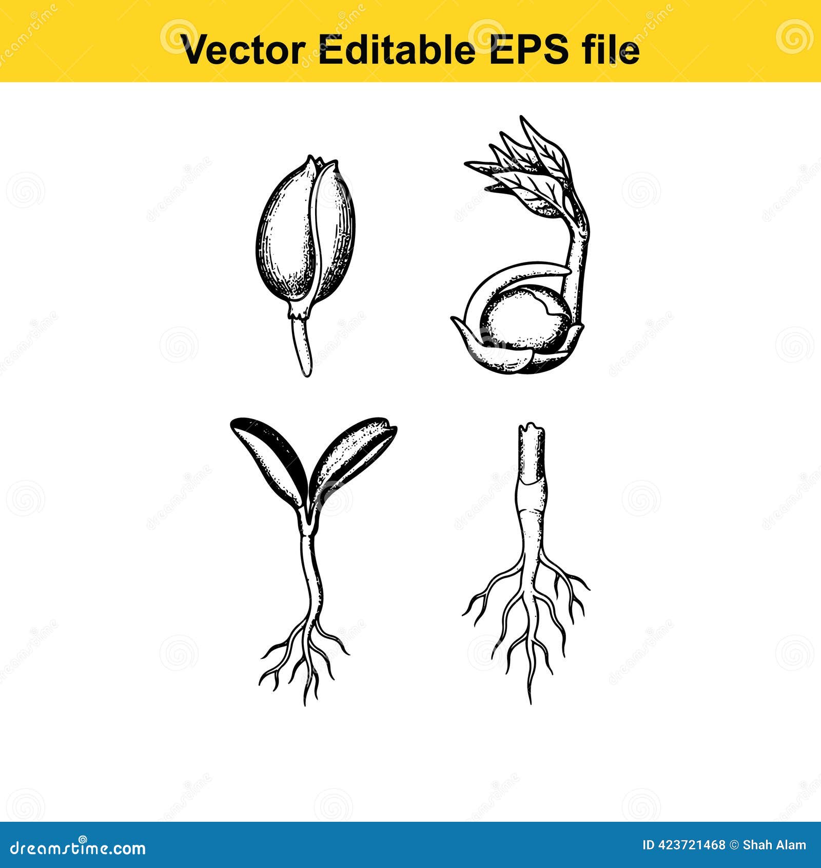 Set of Plant growth line icon collection. Seed germination, planting and  seedling symbol. 68757672 Vector Art at Vecteezy, image size:1600x1690