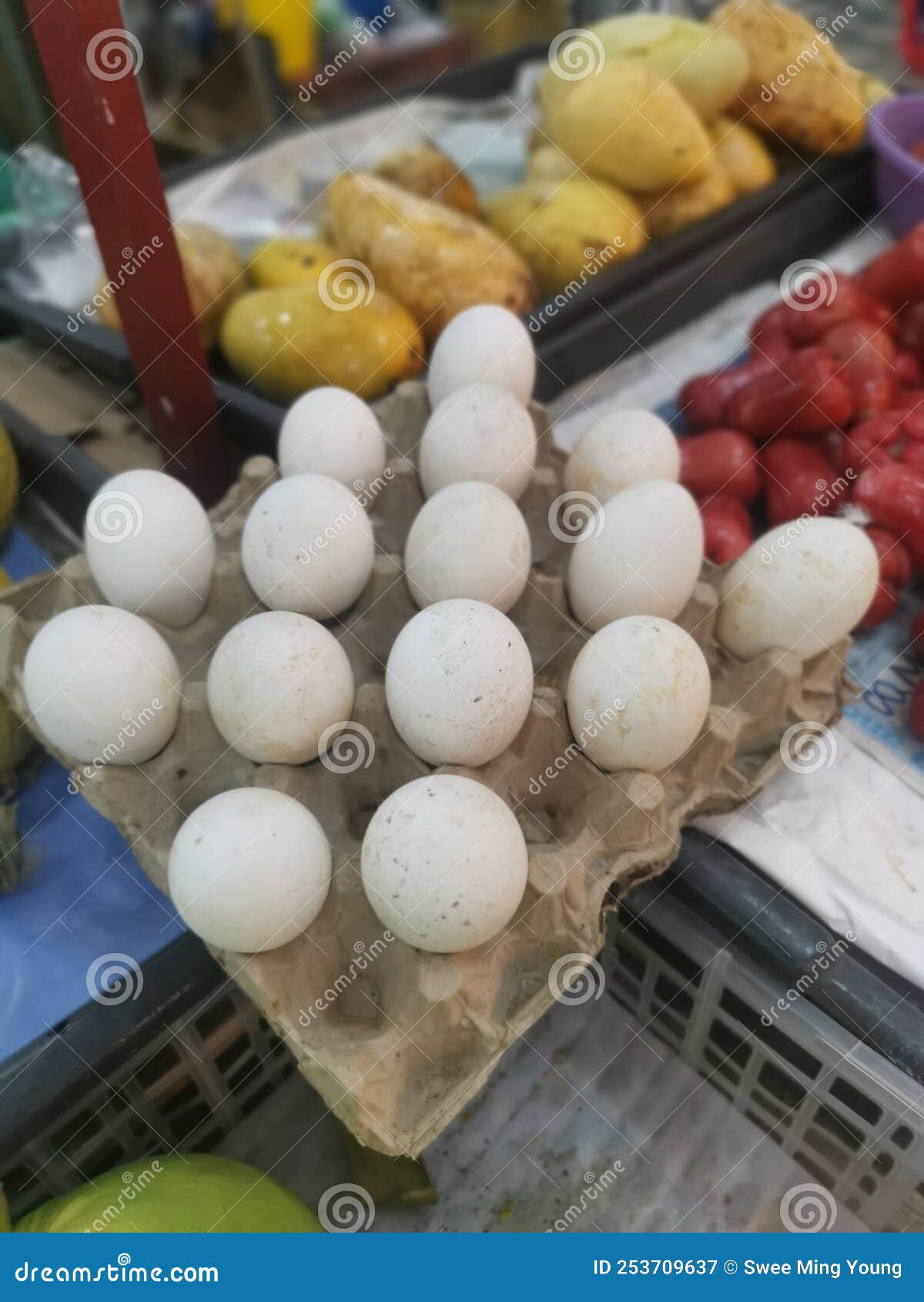 Displaying a Big Goose Egg for Sale. Stock Image Image of large, eggs