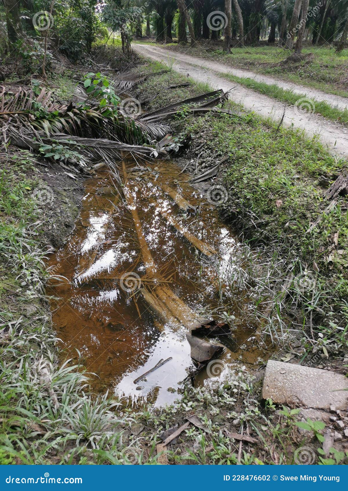 Drainage in the Rural Countryside Farm. Stock Photo Image of excavator, parit 228476602
