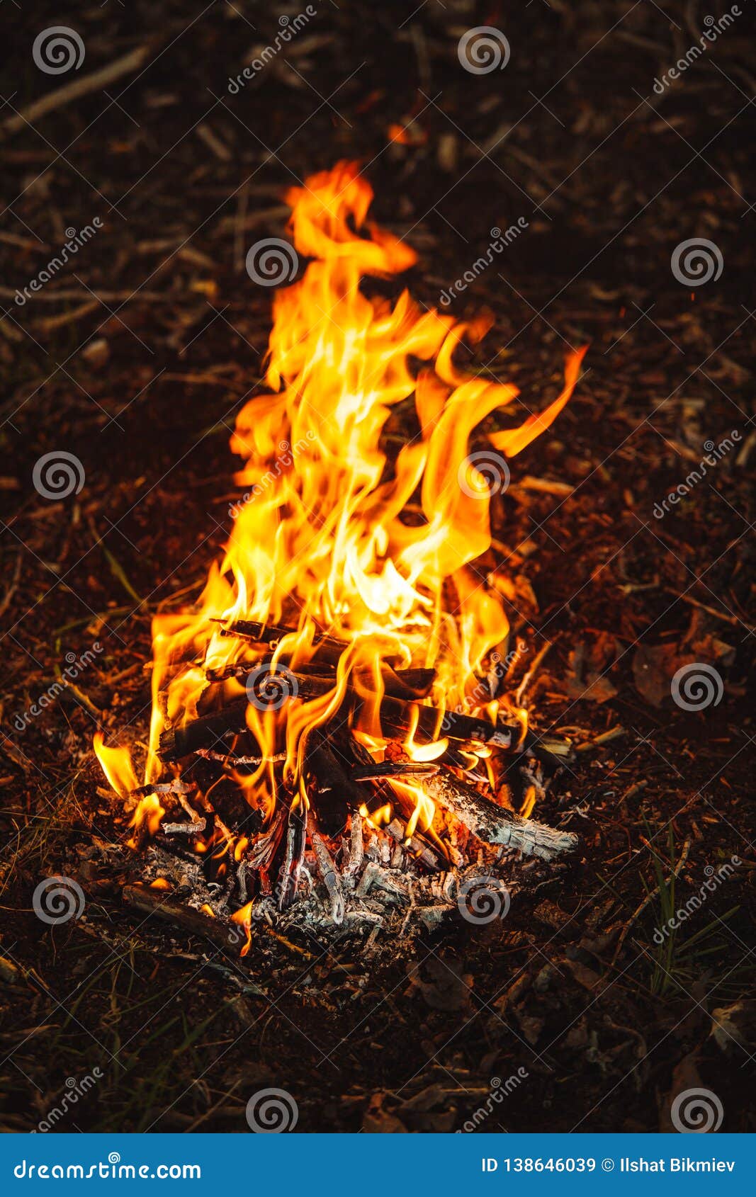 Image En Gros Plan Verticale De Petit Feu Dans La Forêt Image stock - Image  du campfire, petit: 138646039