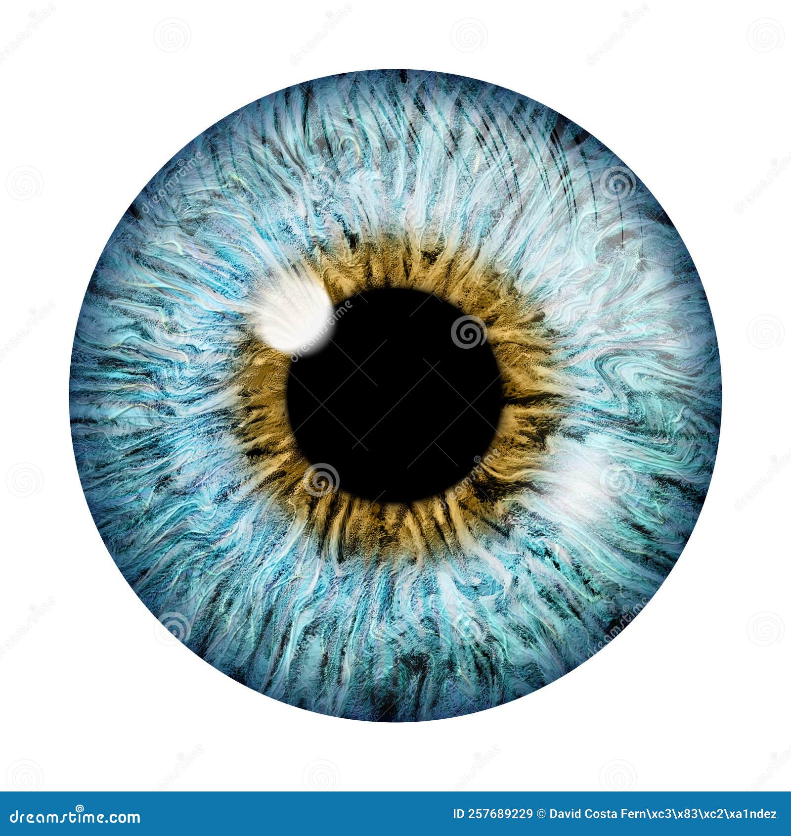 Realistic Image of an Eye. Iris, Cornea, Retina with Luminous Flash. Brown Eye. 3d Illustration