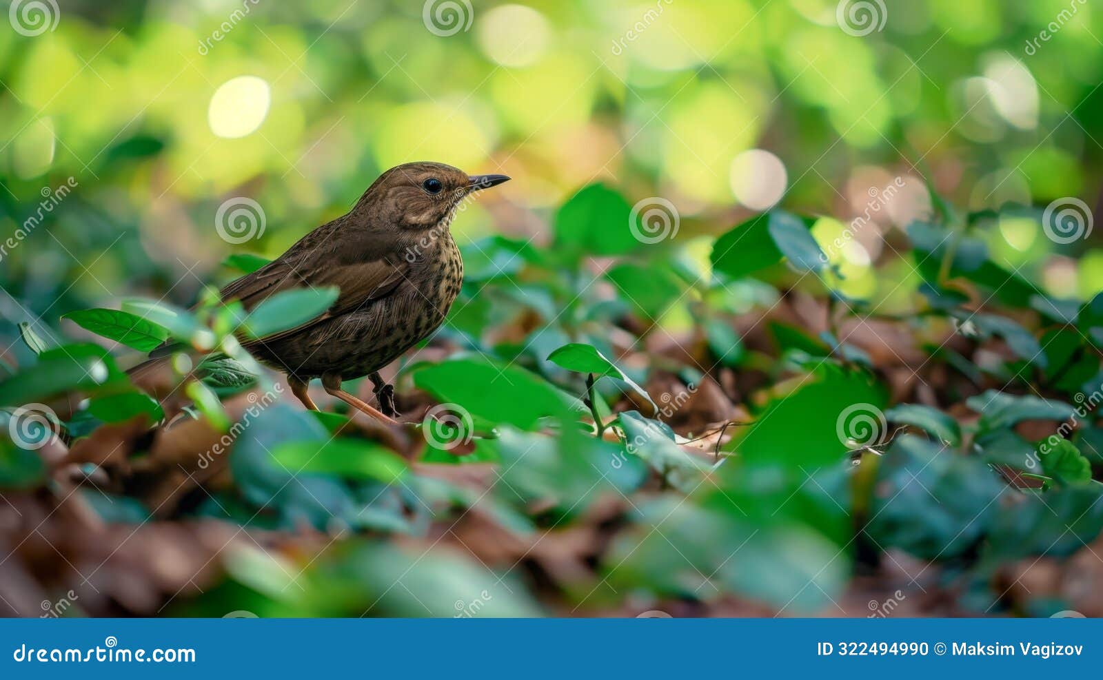 small bird in lush greenery, generative ai