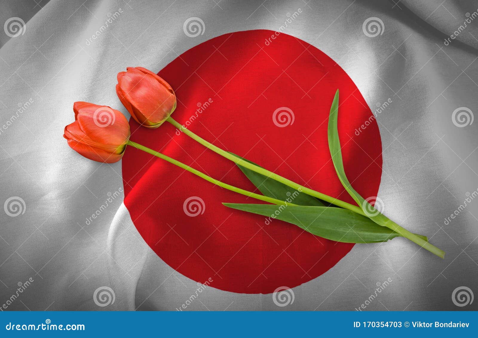 Festive Flowers on Japan Flag Background Stock Image Image of