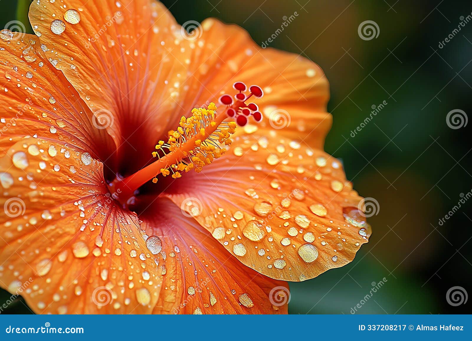 close-up photograph of a flower adorned with water droplets