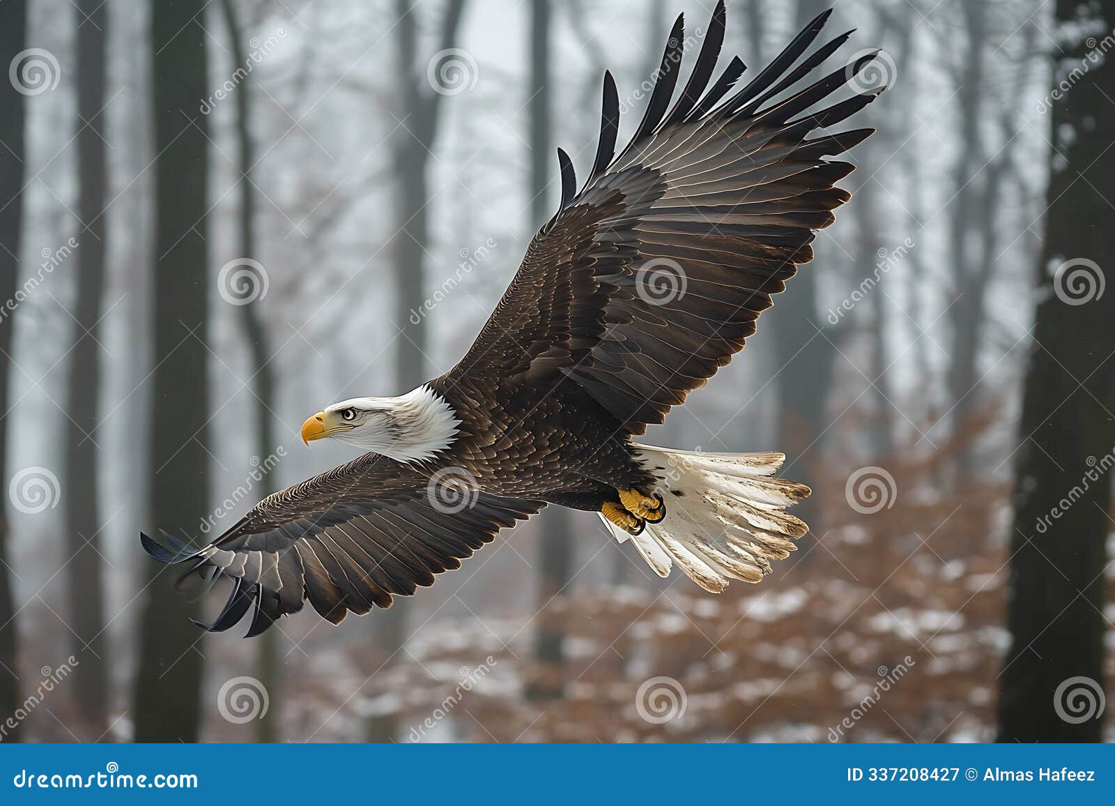 portrait of a majestic hawk soaring high in the sky