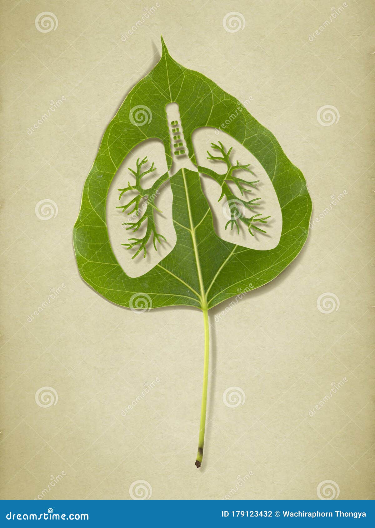 Image of Lungl Plant Punched into Green Leaf, Lungs Silhouette, Save